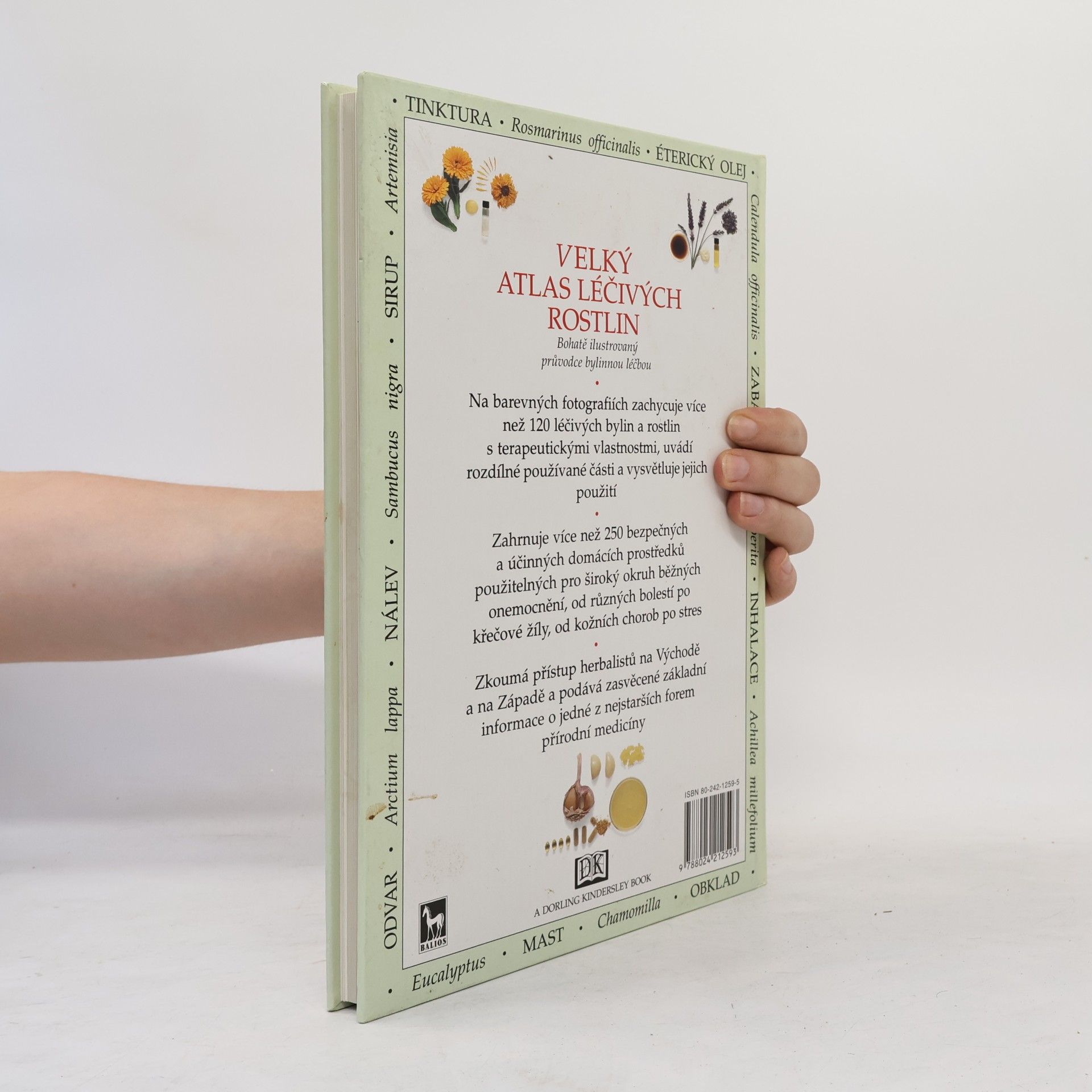 Penelope Ody Velký atlas léčivých rostlin