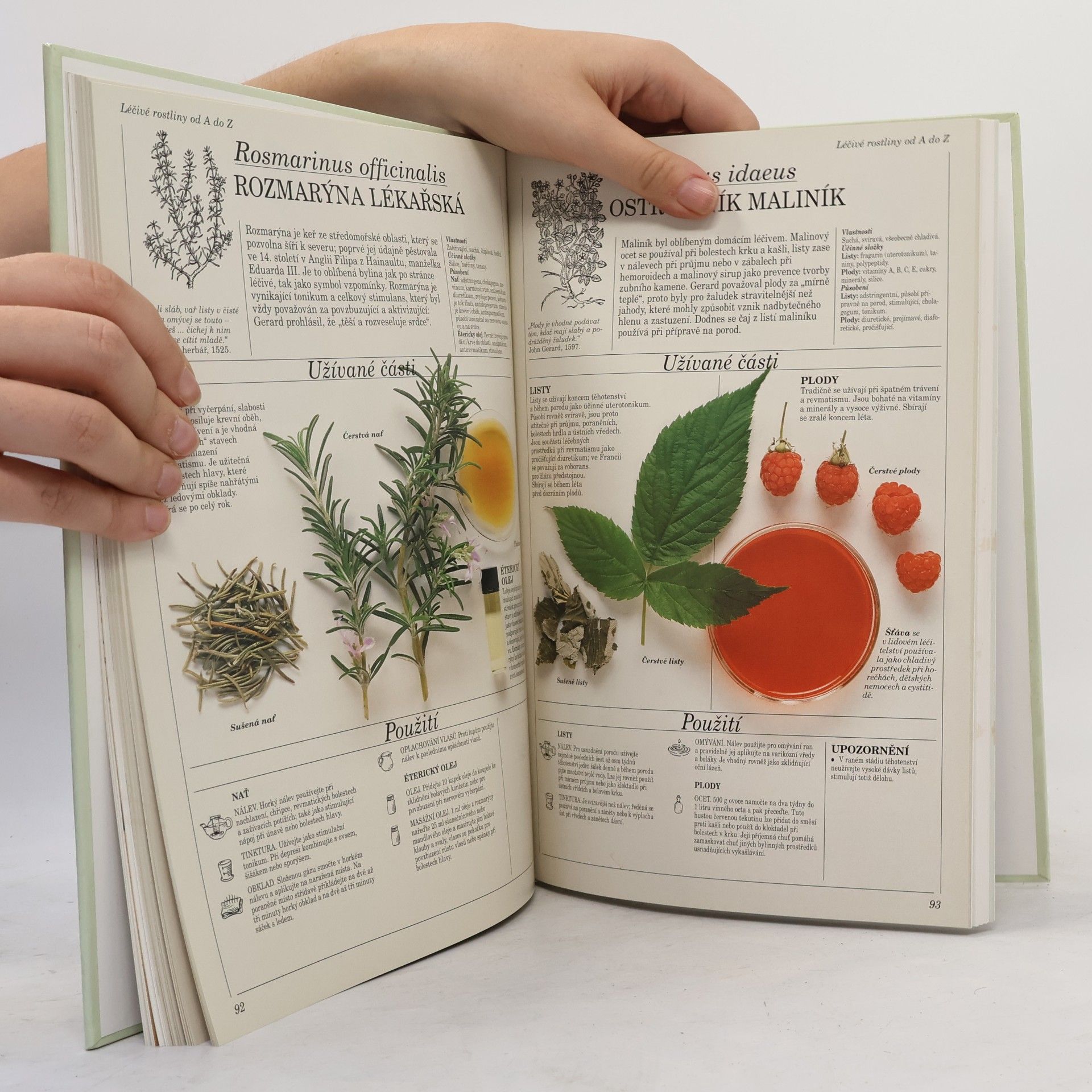 Penelope Ody Velký atlas léčivých rostlin