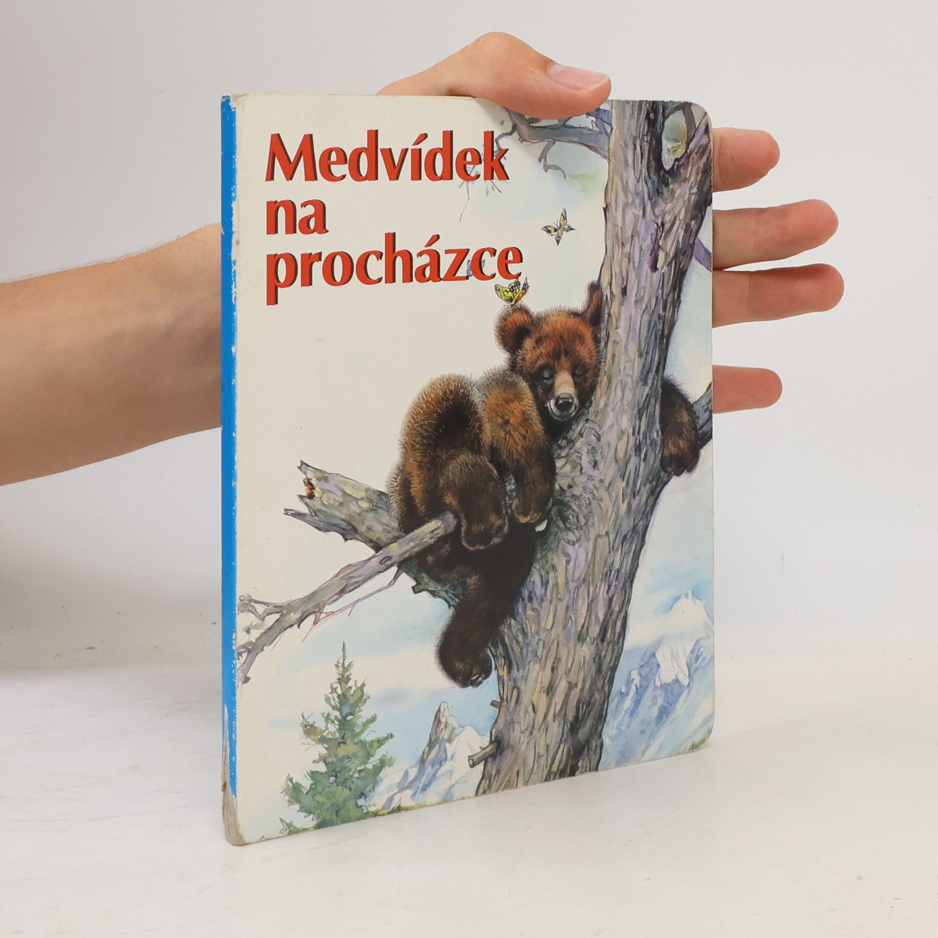 Kolektiv autorů Medvídek na procházce