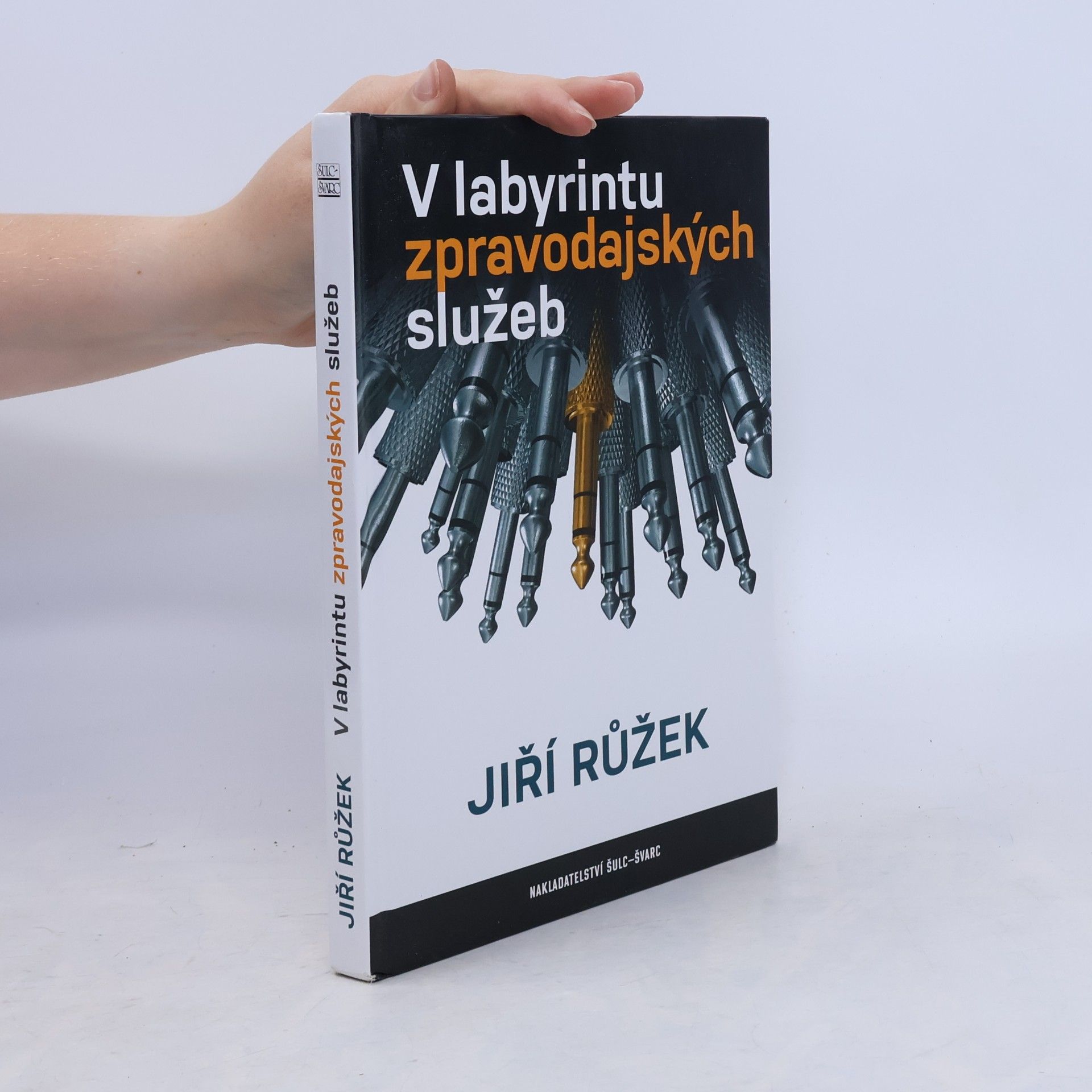 Jiří Růžek V labyrintu zpravodajských služeb