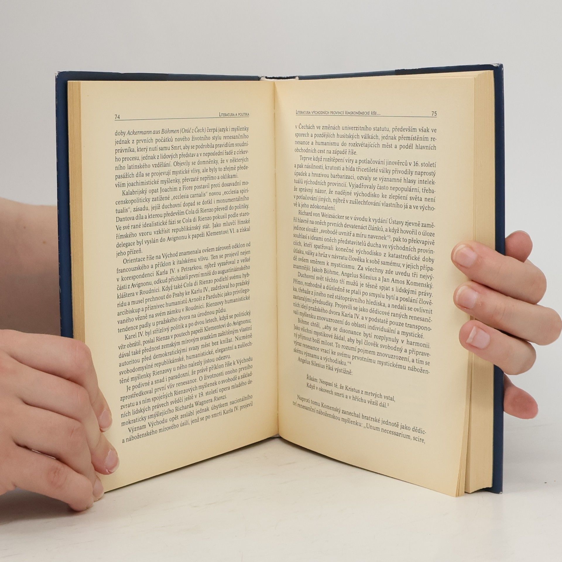 Joseph P. Strelka Literatura a politika : pohledy z literárněvědné perspektivy