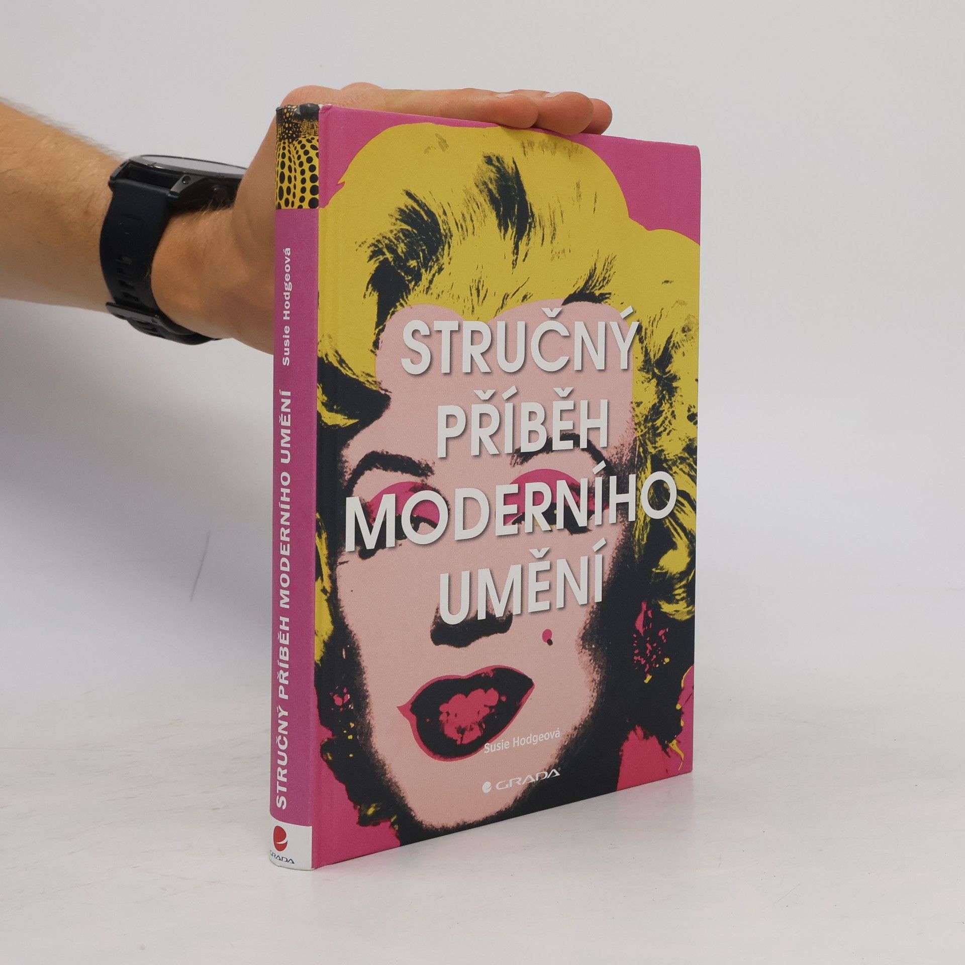 Susie Hodge Stručný příběh moderního umění