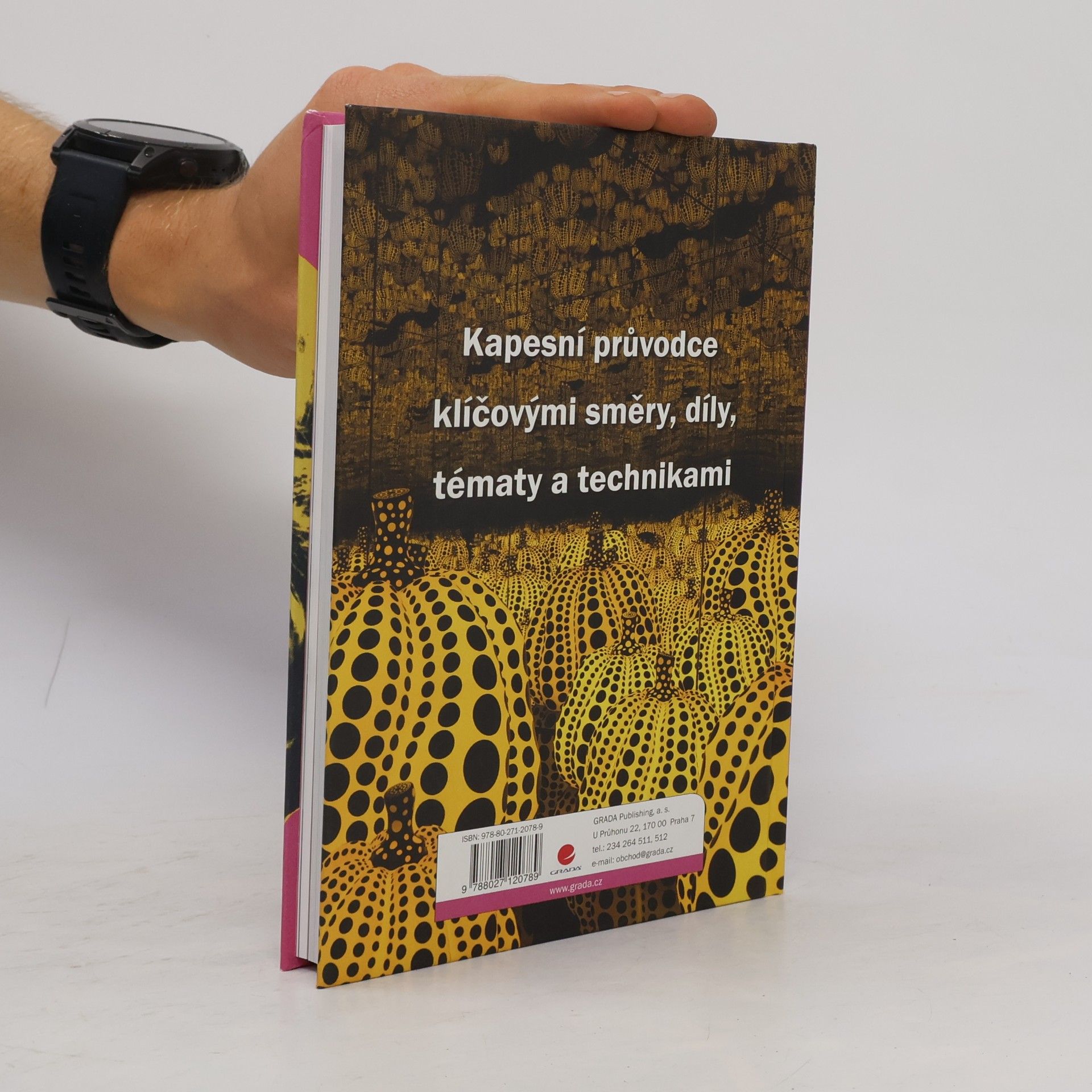 Susie Hodge Stručný příběh moderního umění