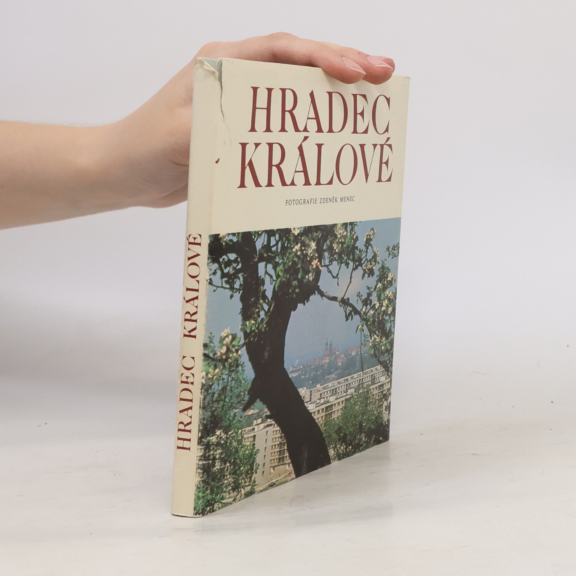 Zdeněk Menec Hradec Králové
