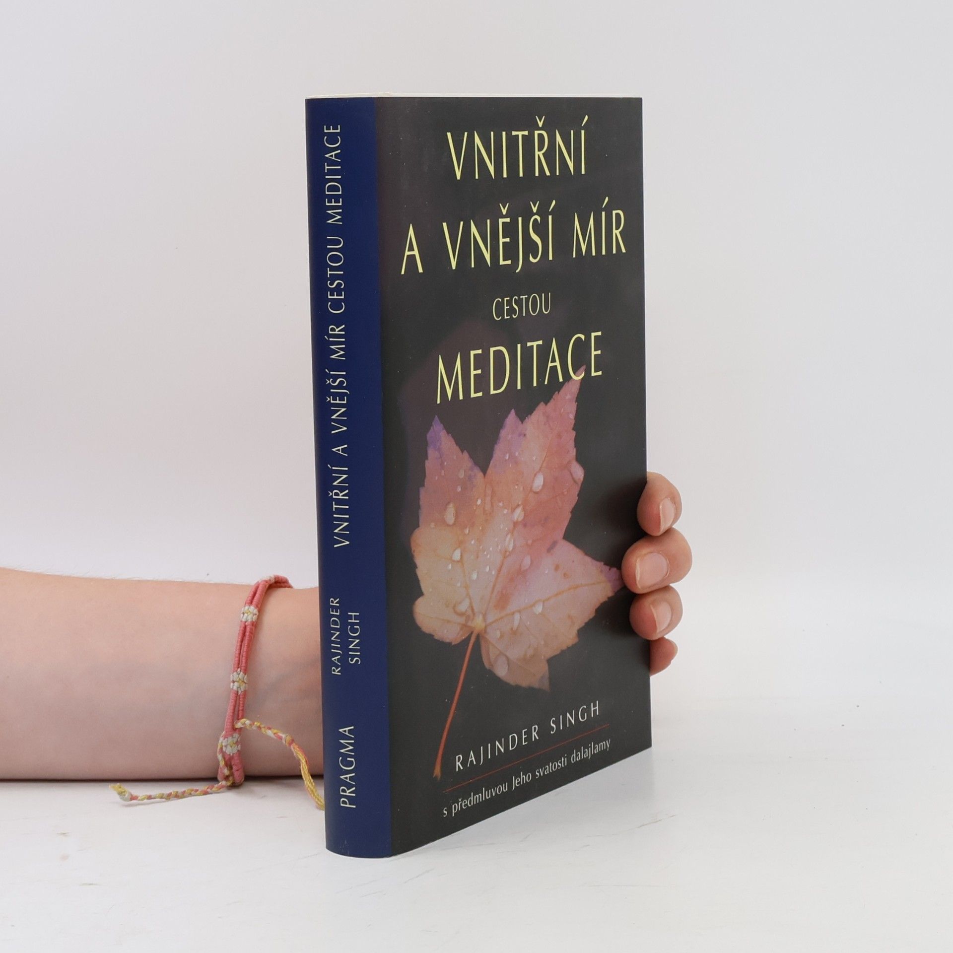 svatý Rajinder Singh Vnitřní a vnější mír cestou meditace