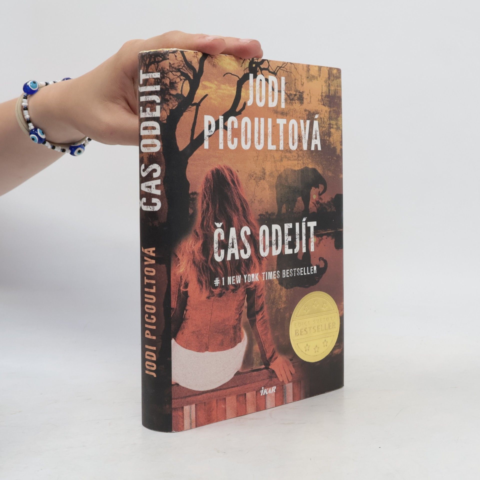 Jodi Picoult Čas odejít