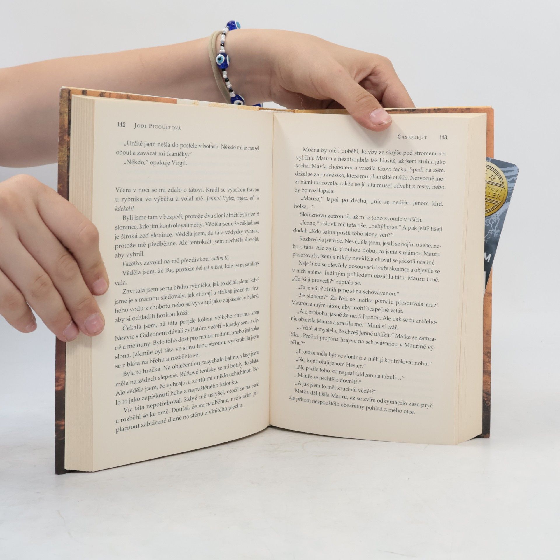Jodi Picoult Čas odejít
