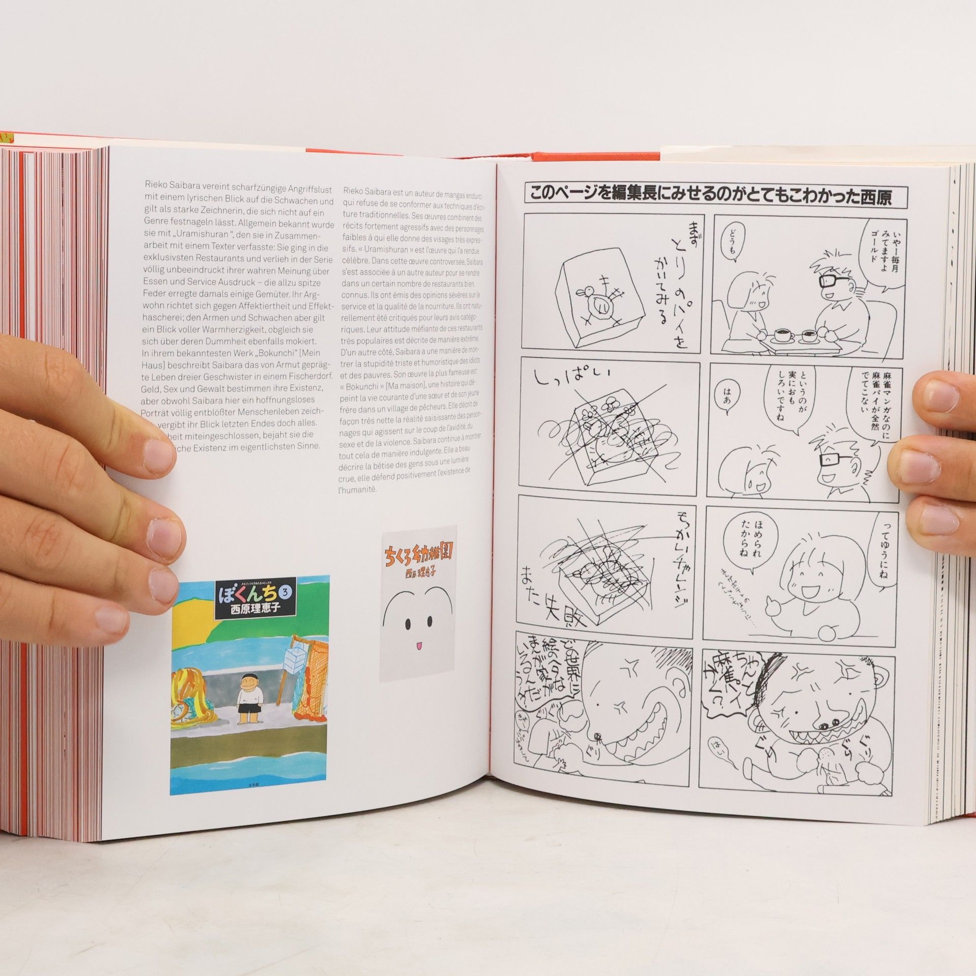 Julius Weidermann 100 Manga Artists