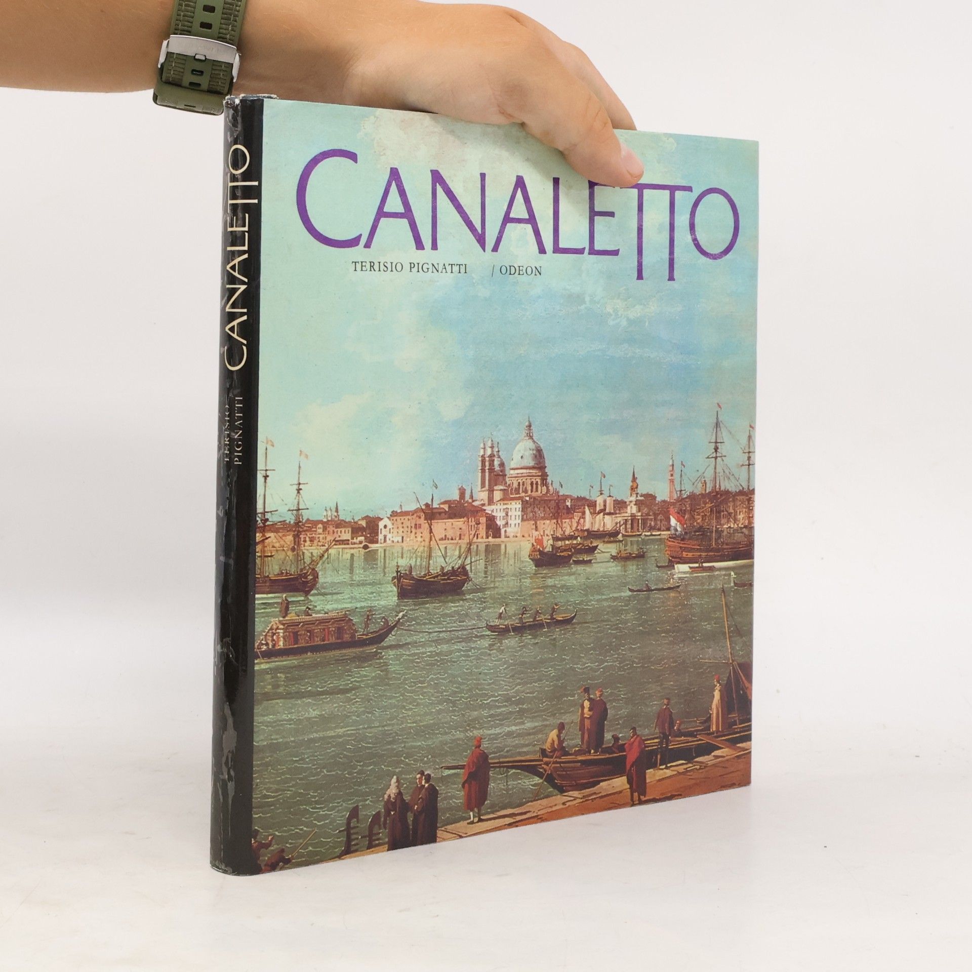 Terisio Pignatti Canaletto