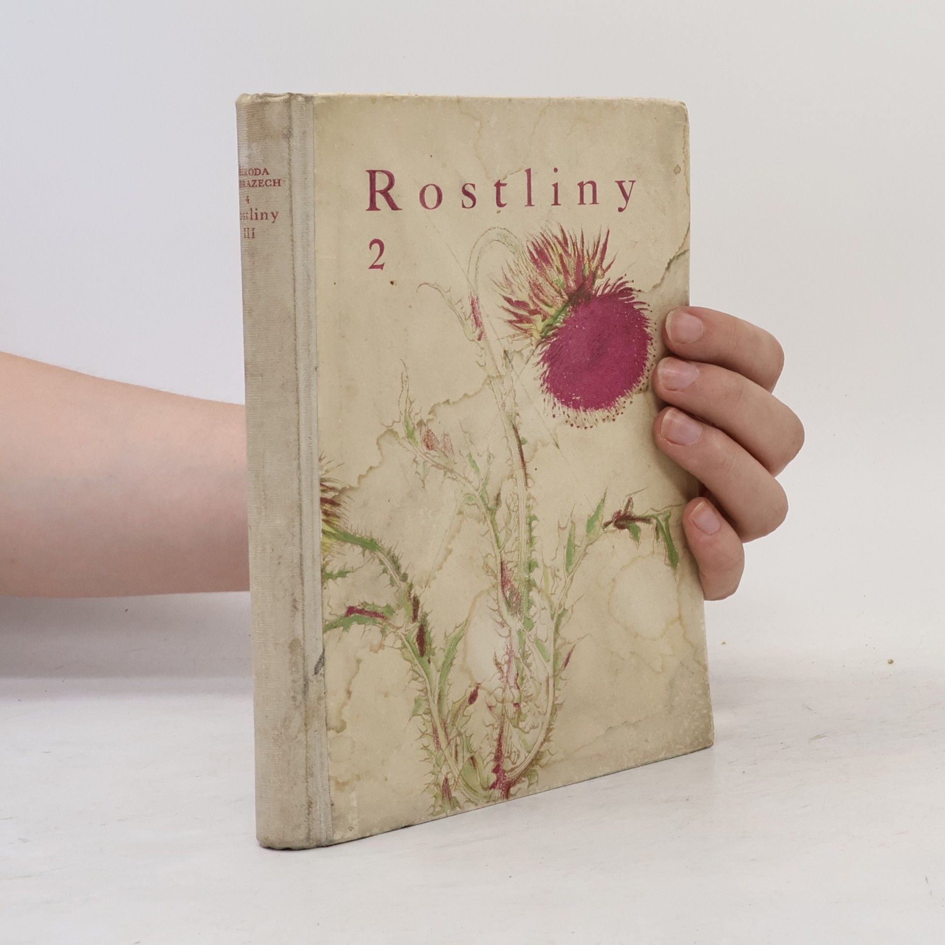 Rostliny 2