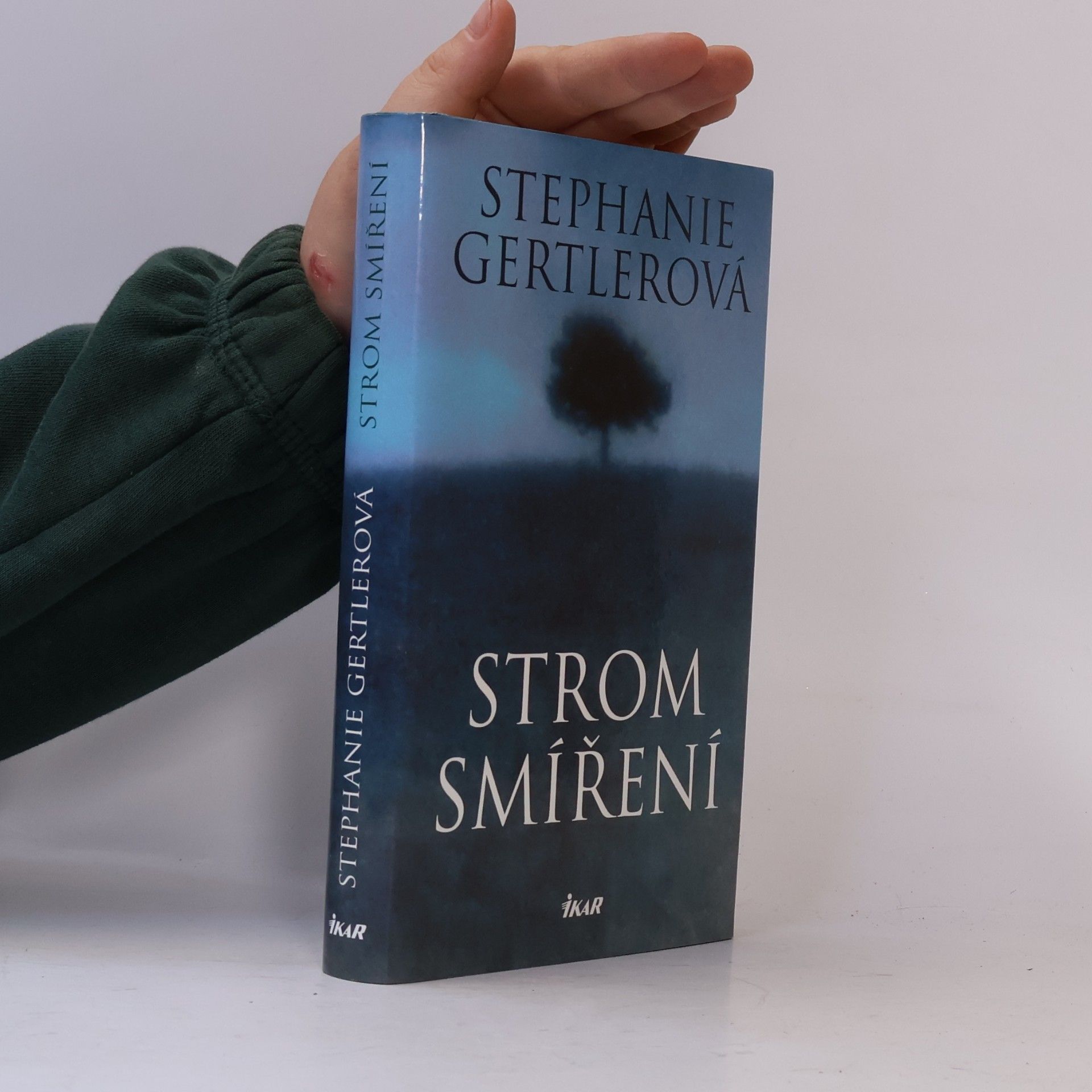Stephanie Gertler Strom smíření