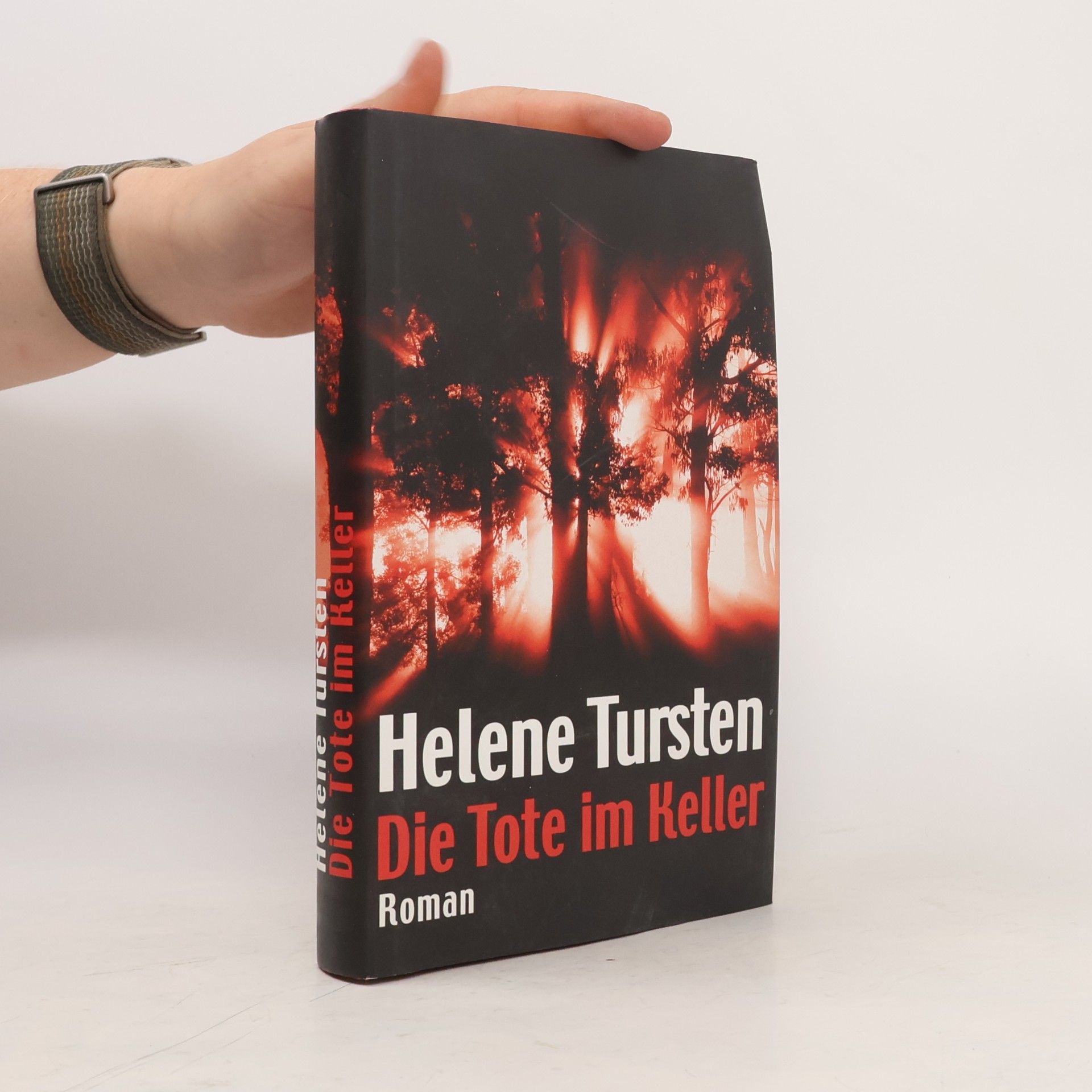 Helene Tursten Die Tote im Keller