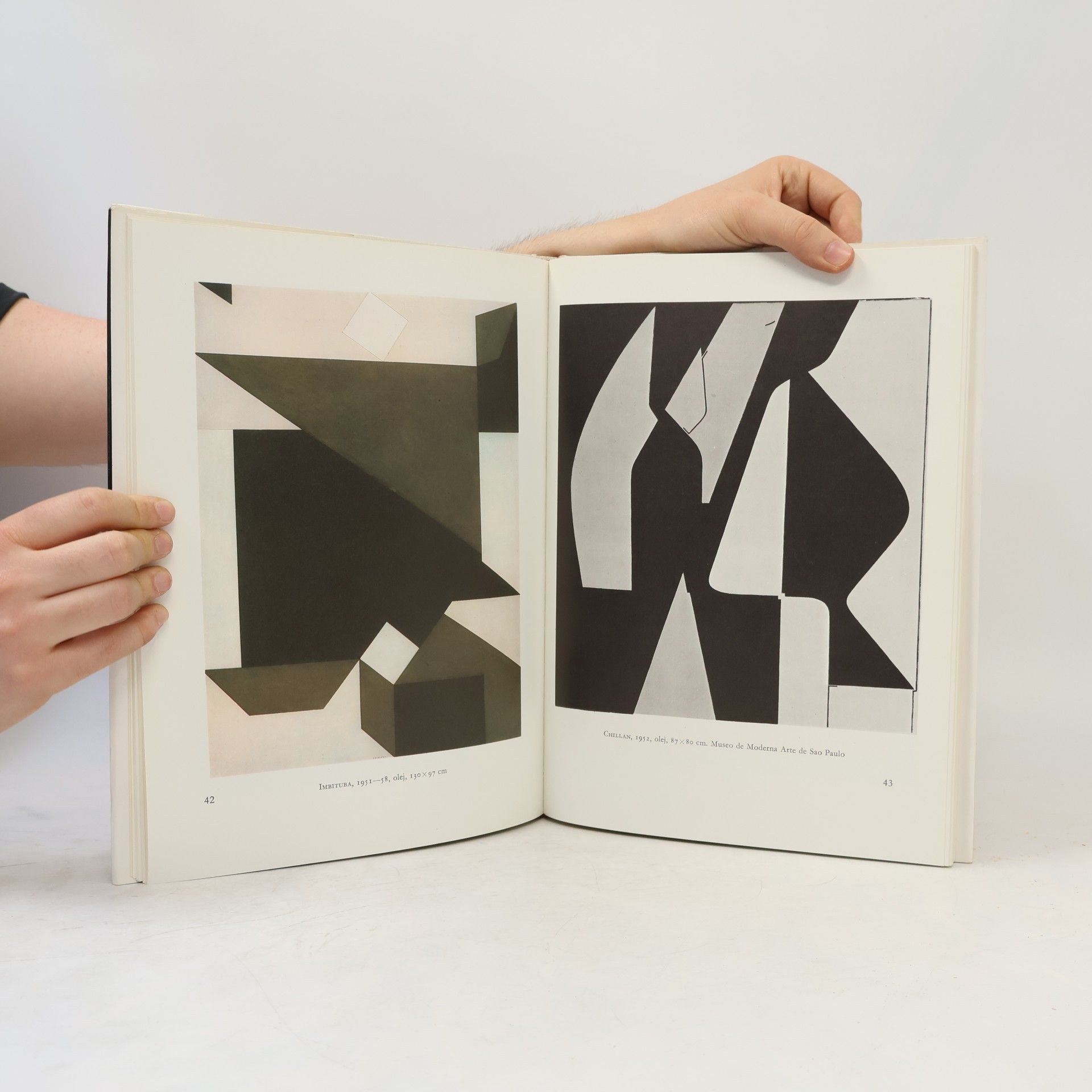Gaston Diehl Vasarely