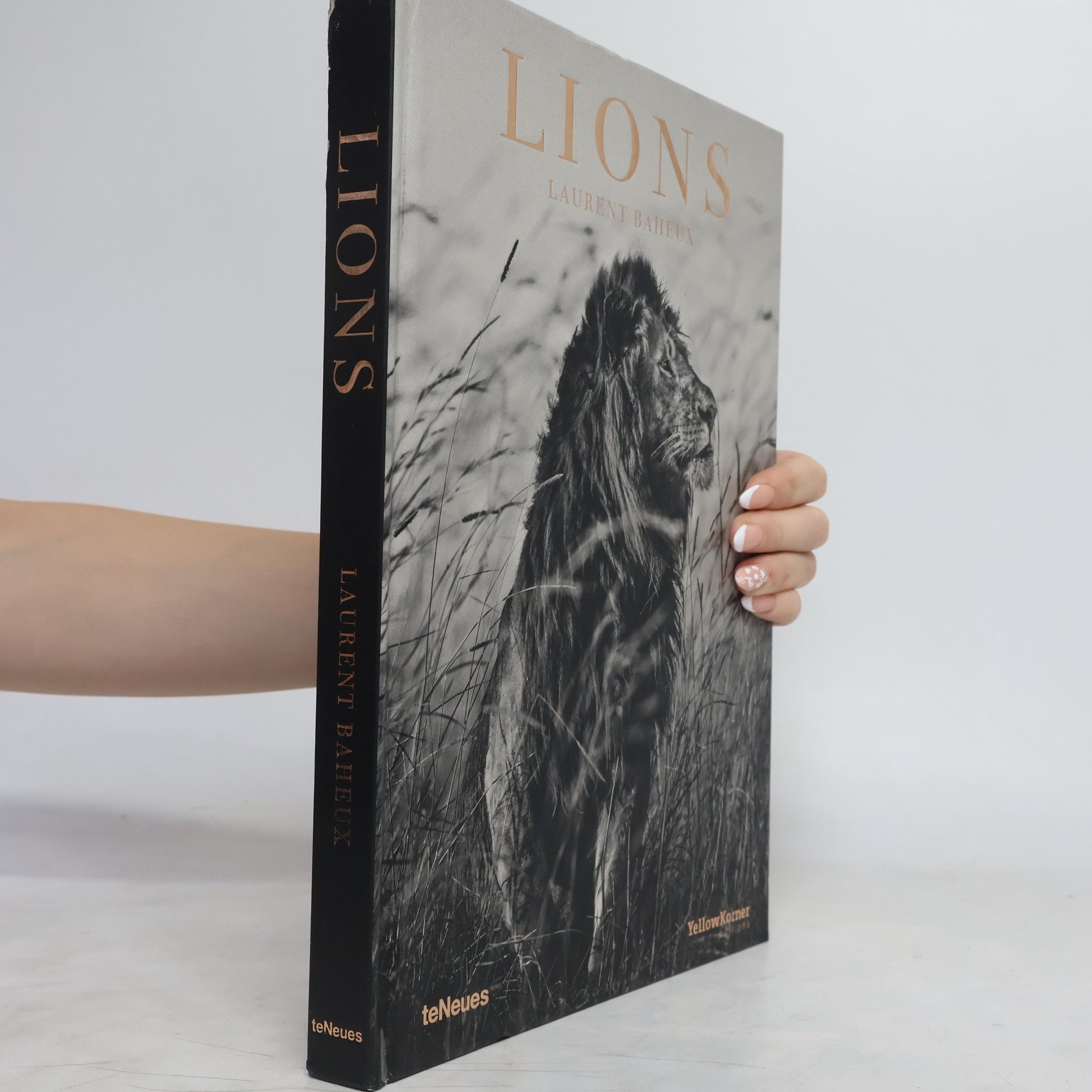 Lions
