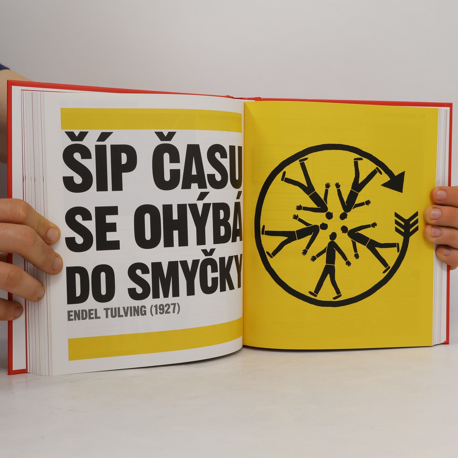 Kolektiv autorů Kniha psychologie