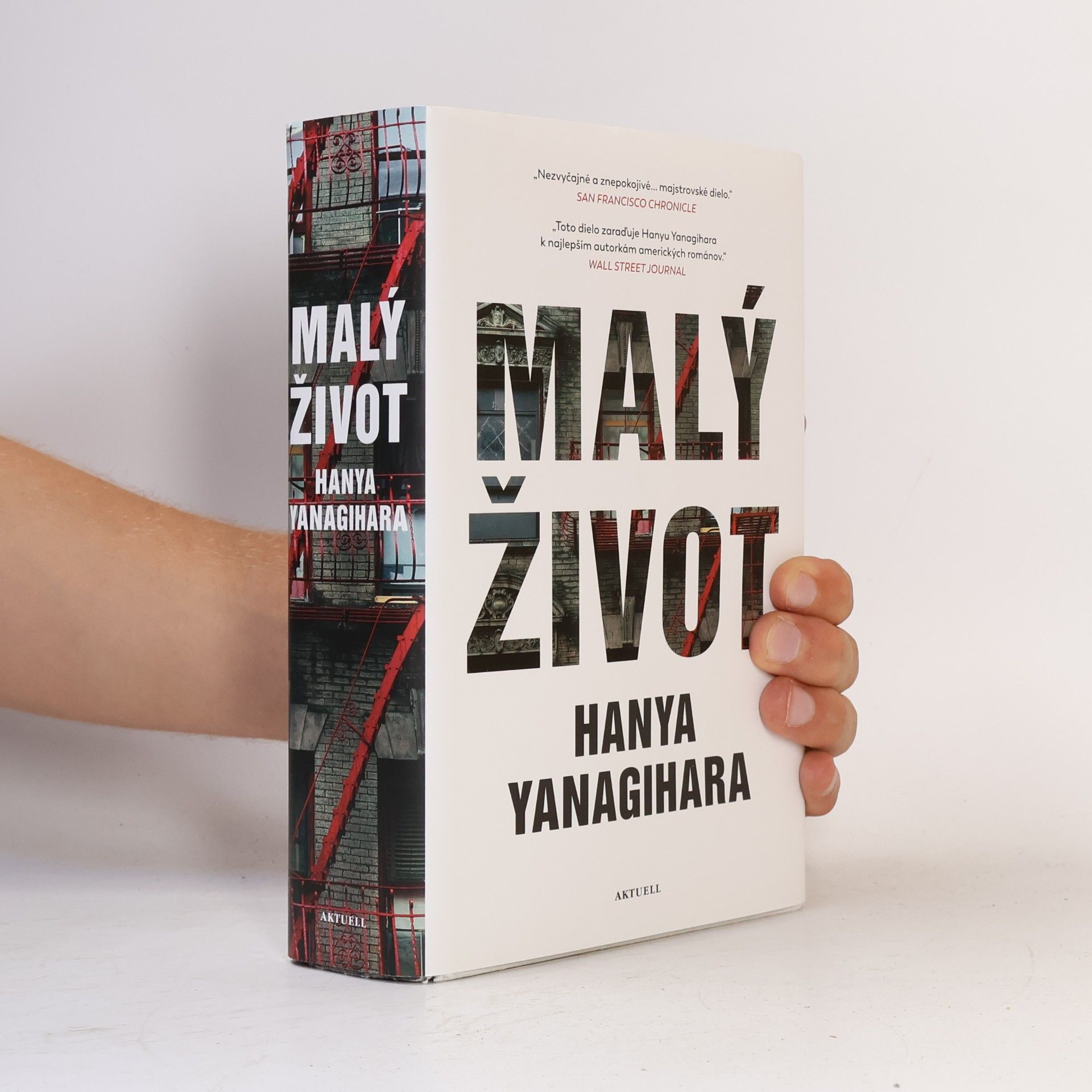 Hanya Yanagihara Malý život
