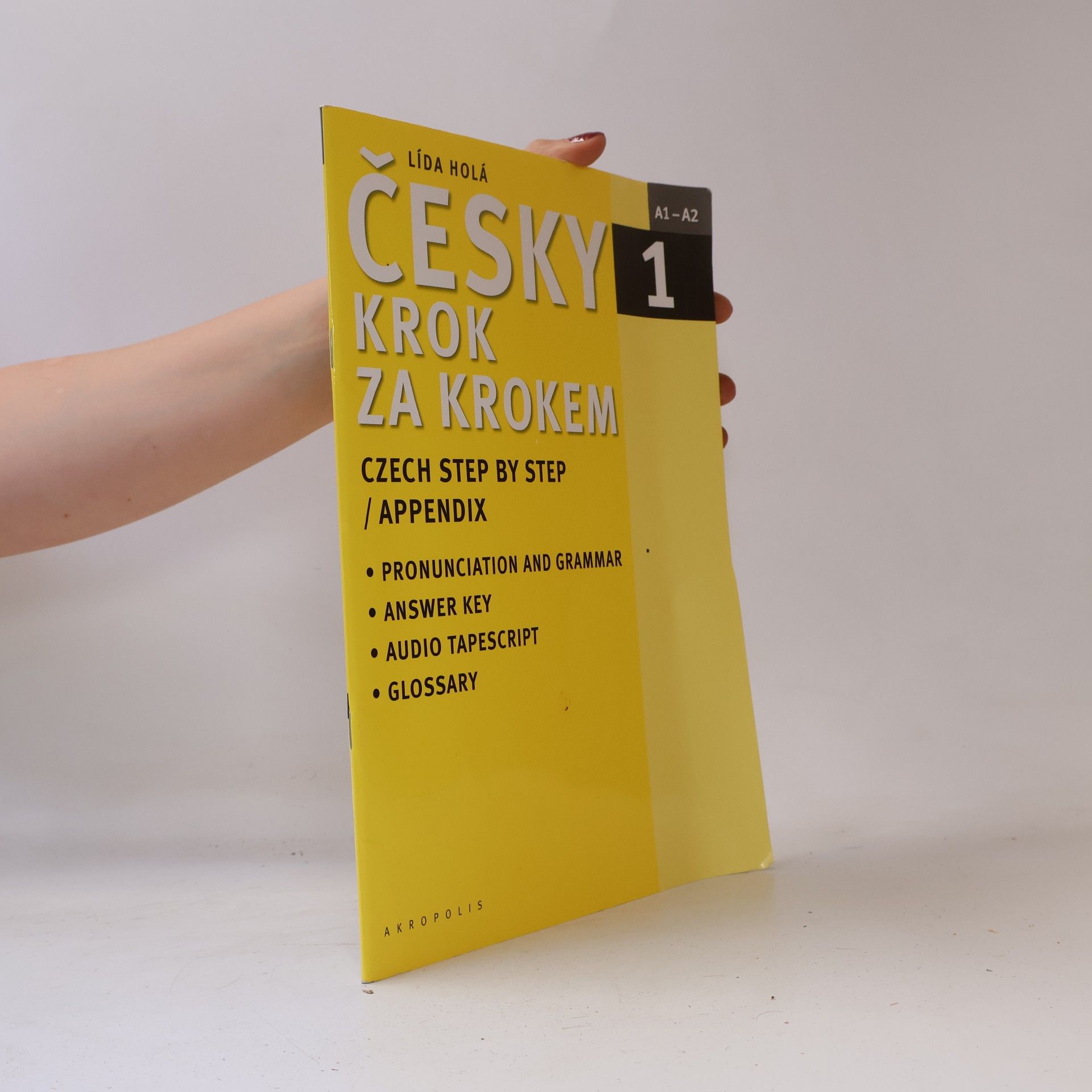 Lída Holá Česky krok za krokem 1. A1-A2 příloha