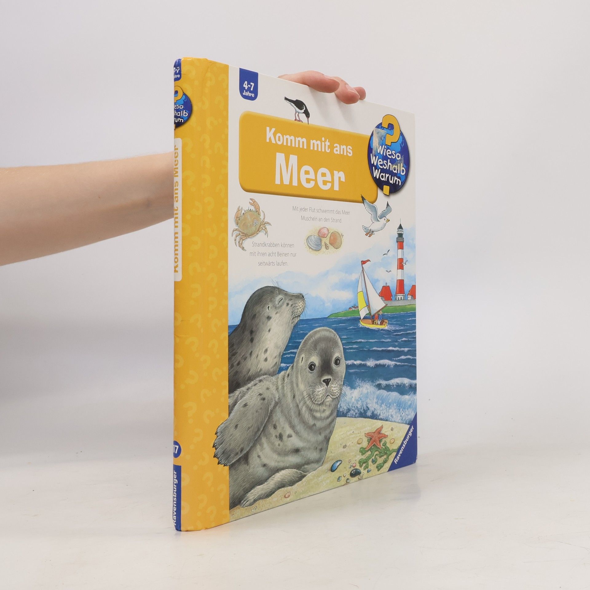 Angela Weinhold Komm mit ans Meer