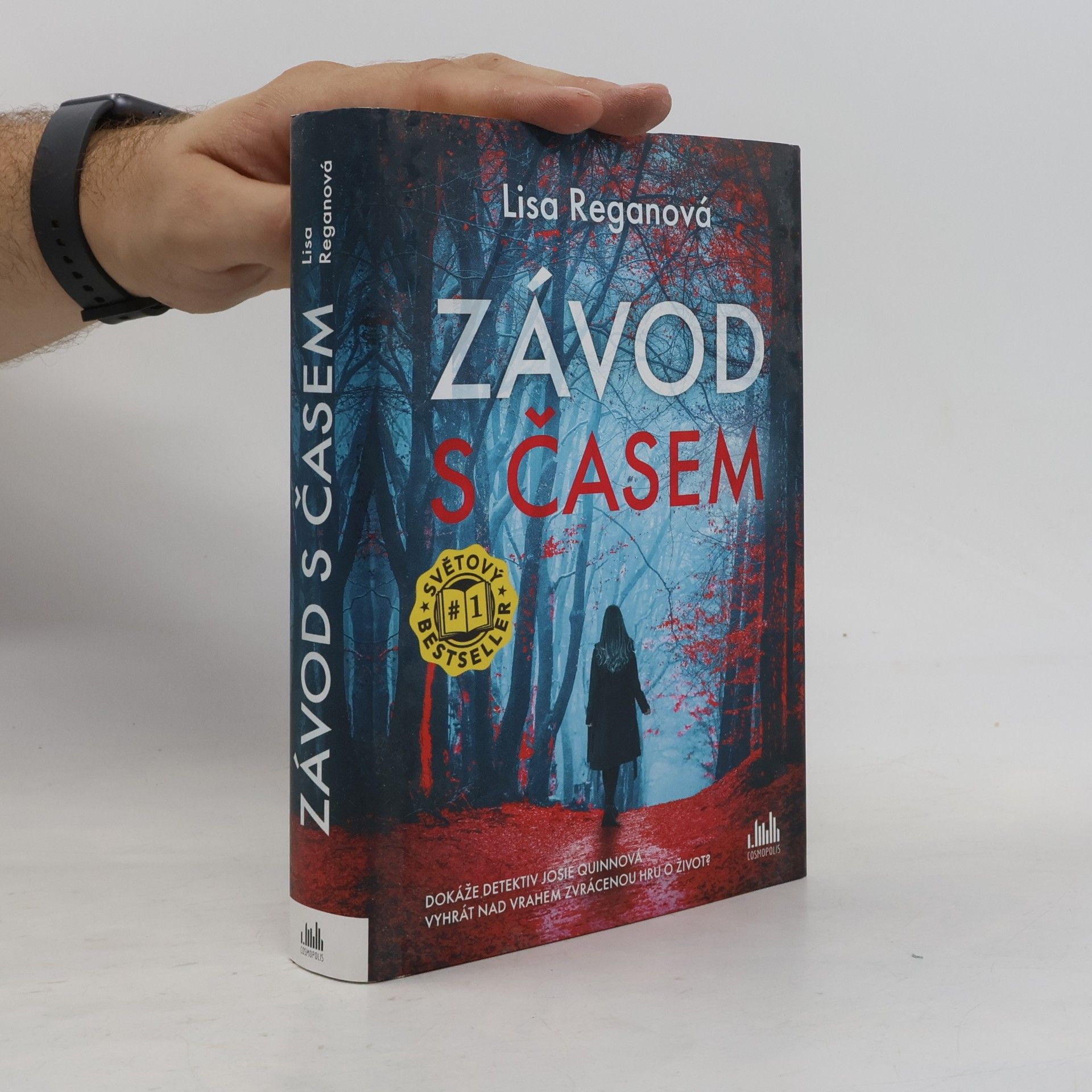 Lisa Regan Závod s časem