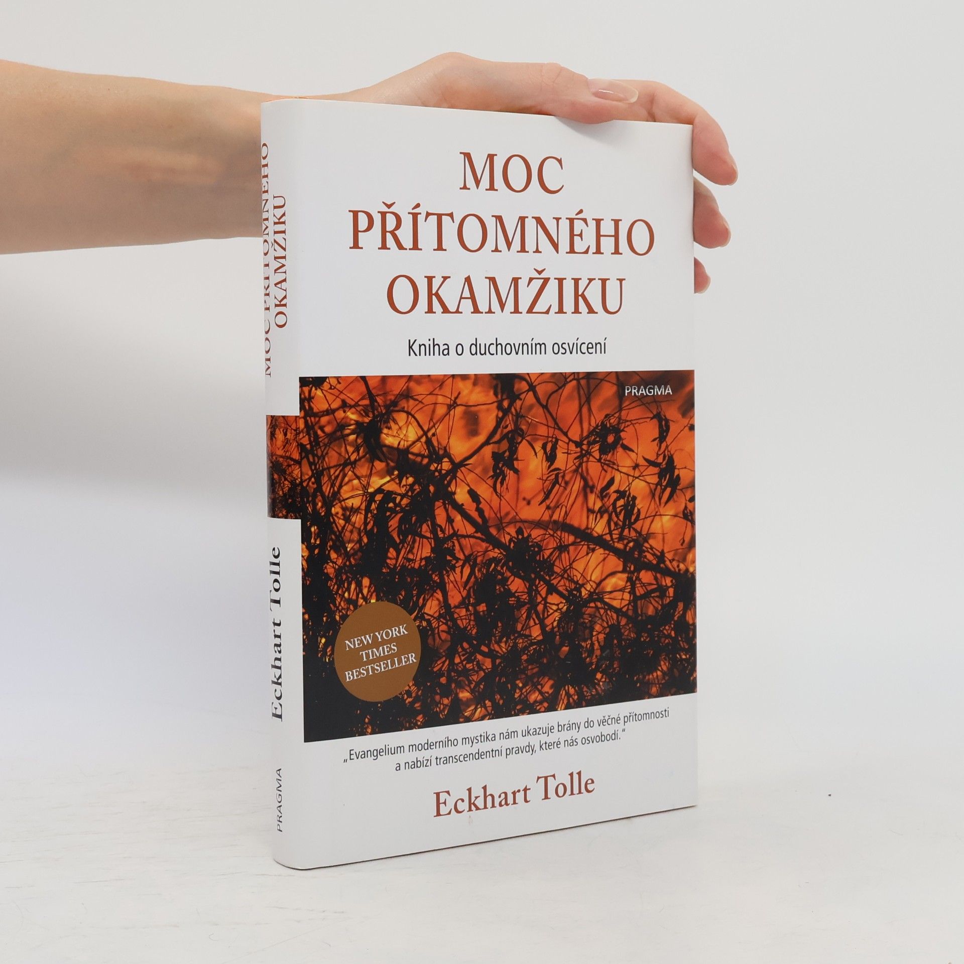Eckhart Tolle Moc přítomného okamžiku