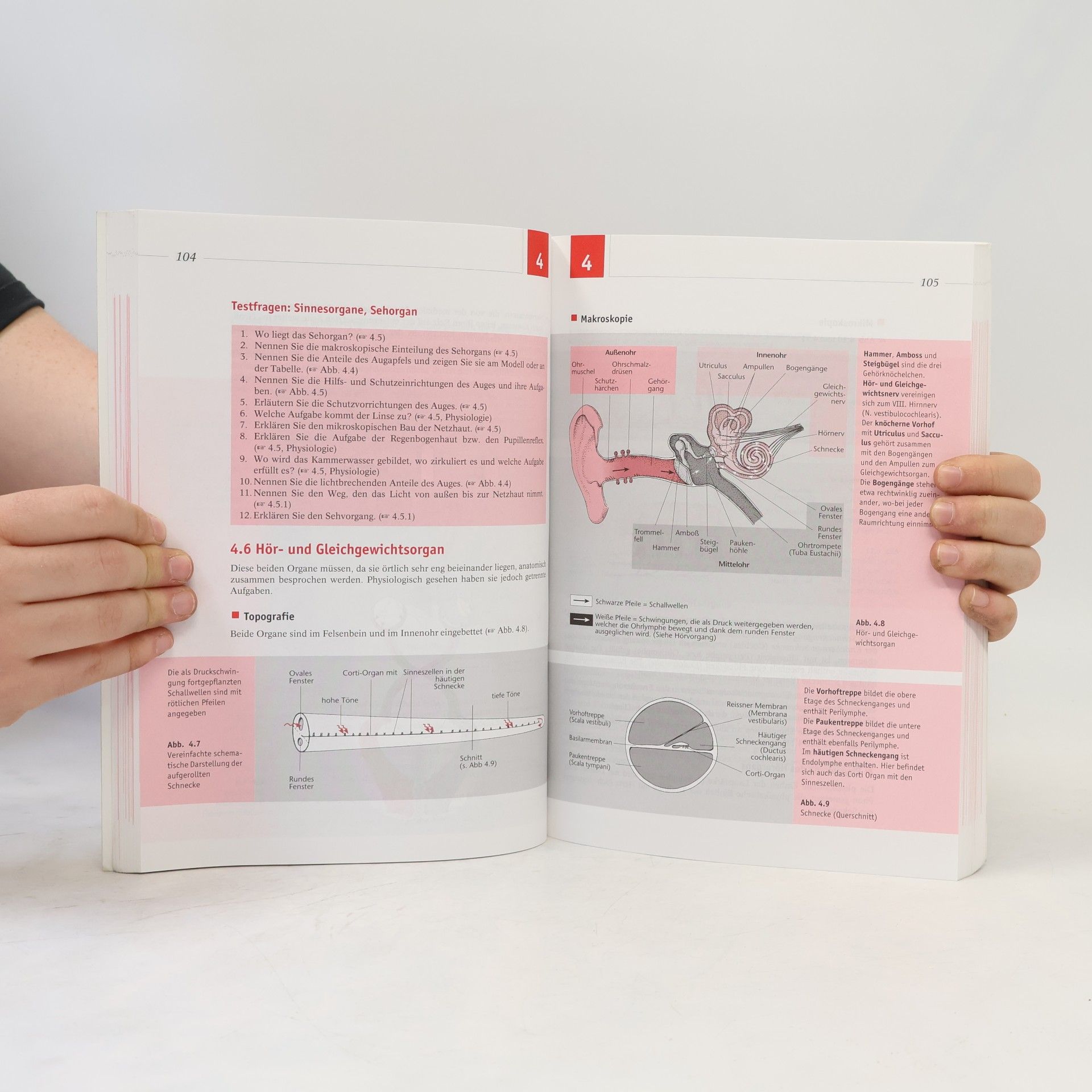 Erica Brühlmann-Jecklin Arbeitsbuch Anatomie und Physiologie für Pflege- und andere Gesundheitsfachberufe