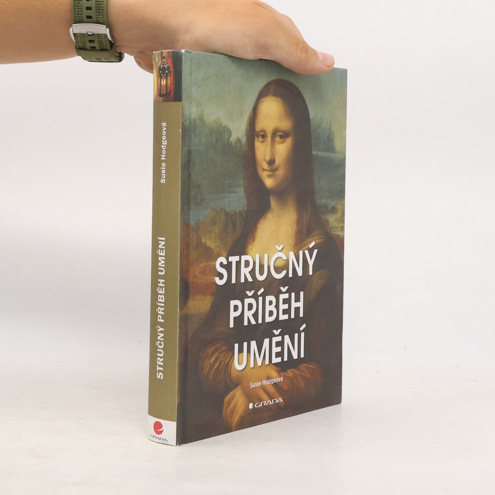 Susie Hodge Stručný příběh umění