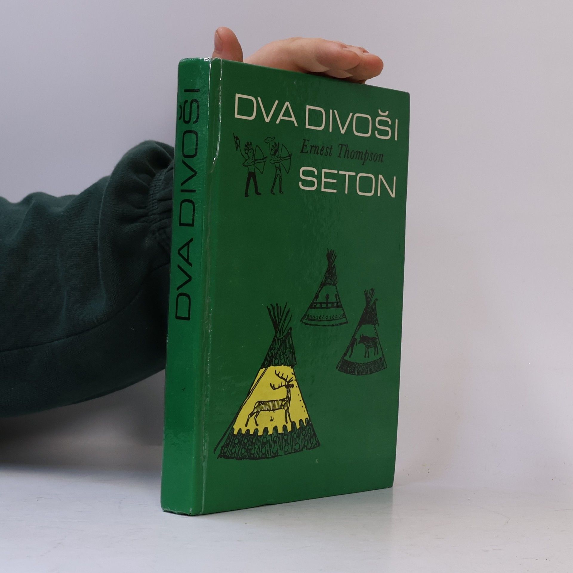 Dva divoši