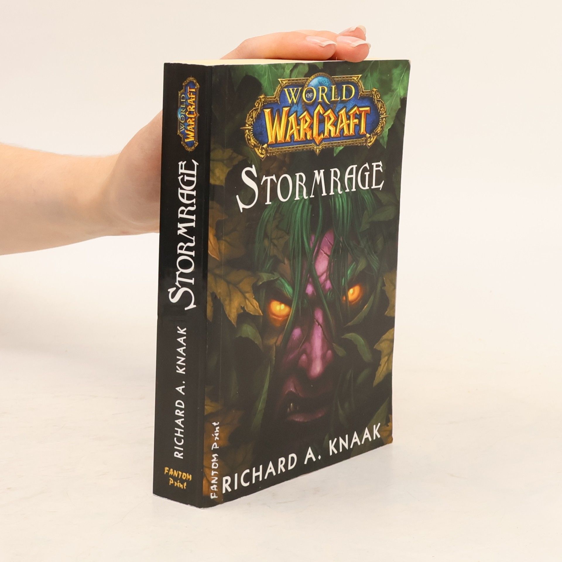 World WarCraft. Stormrage
