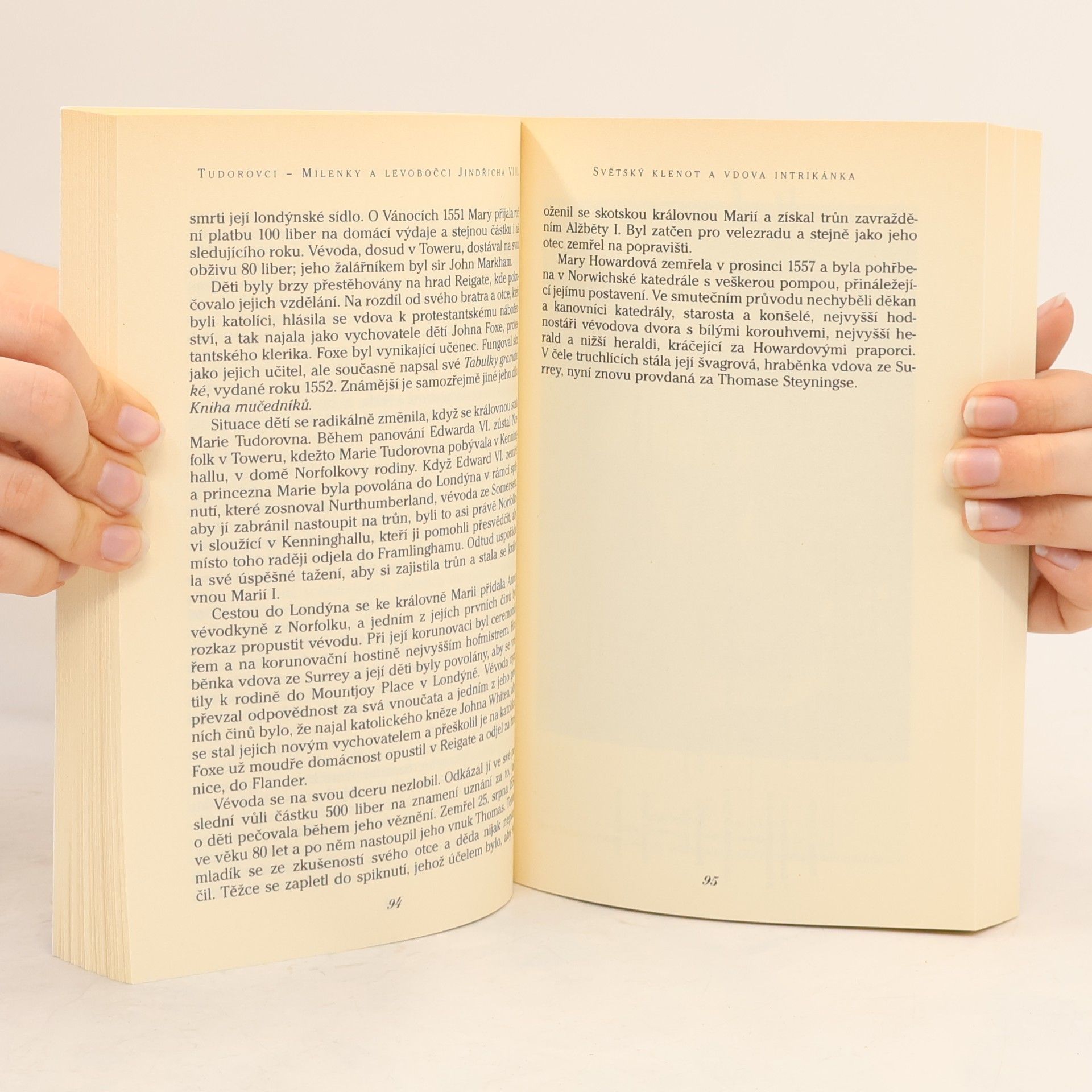 Pip Jones Tudorovci: Milenky a levobočci Jindřicha VIII.