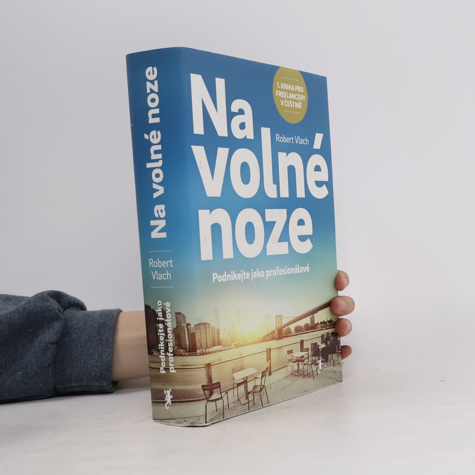 Robert Vlach Na volné noze
