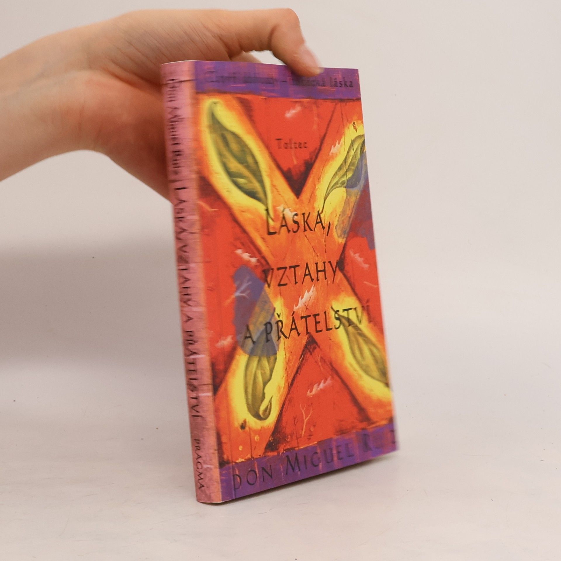 Don Miguel Ruiz Láska, vztahy a přátelství