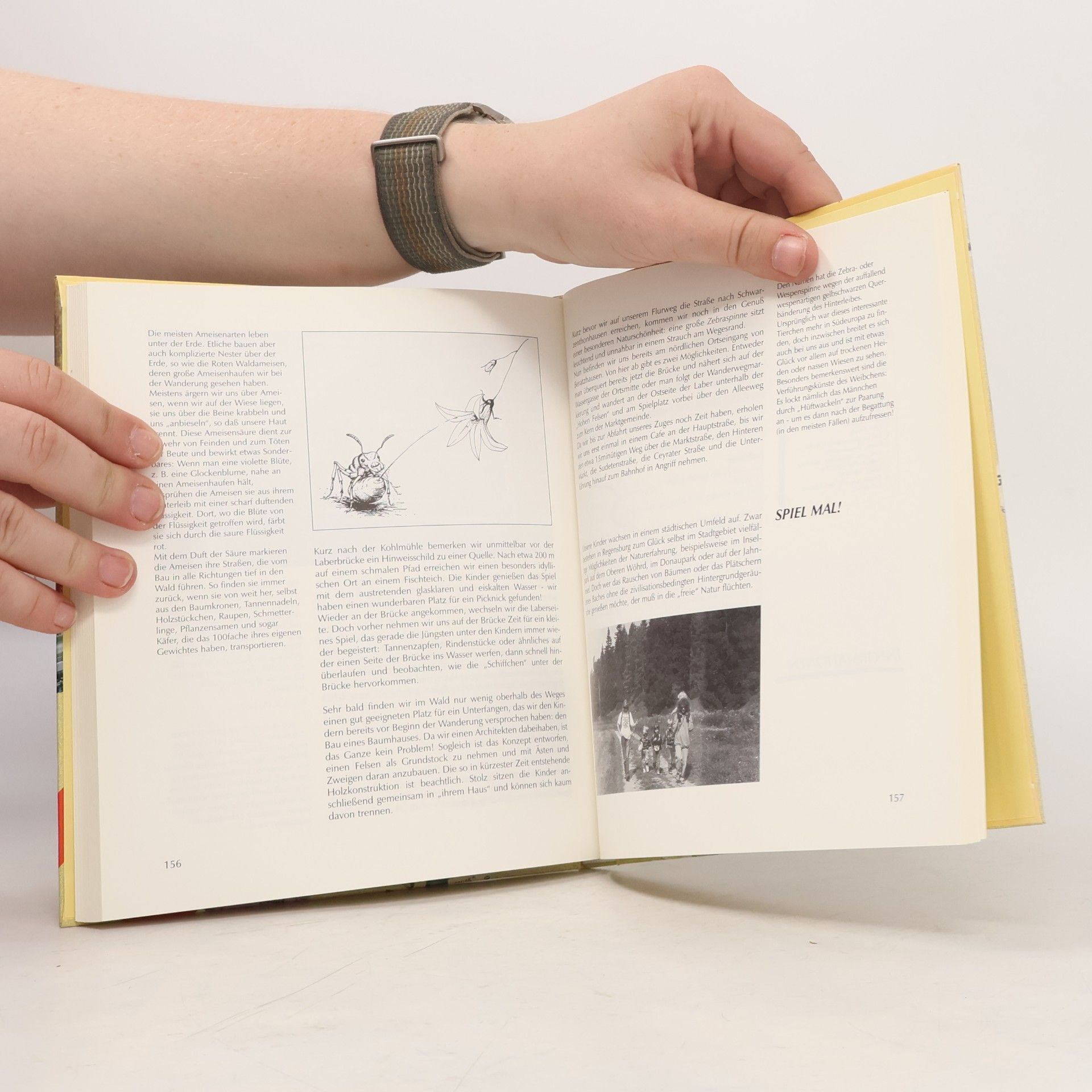 Renate Wienbreyer Unterwegs mit Kindern