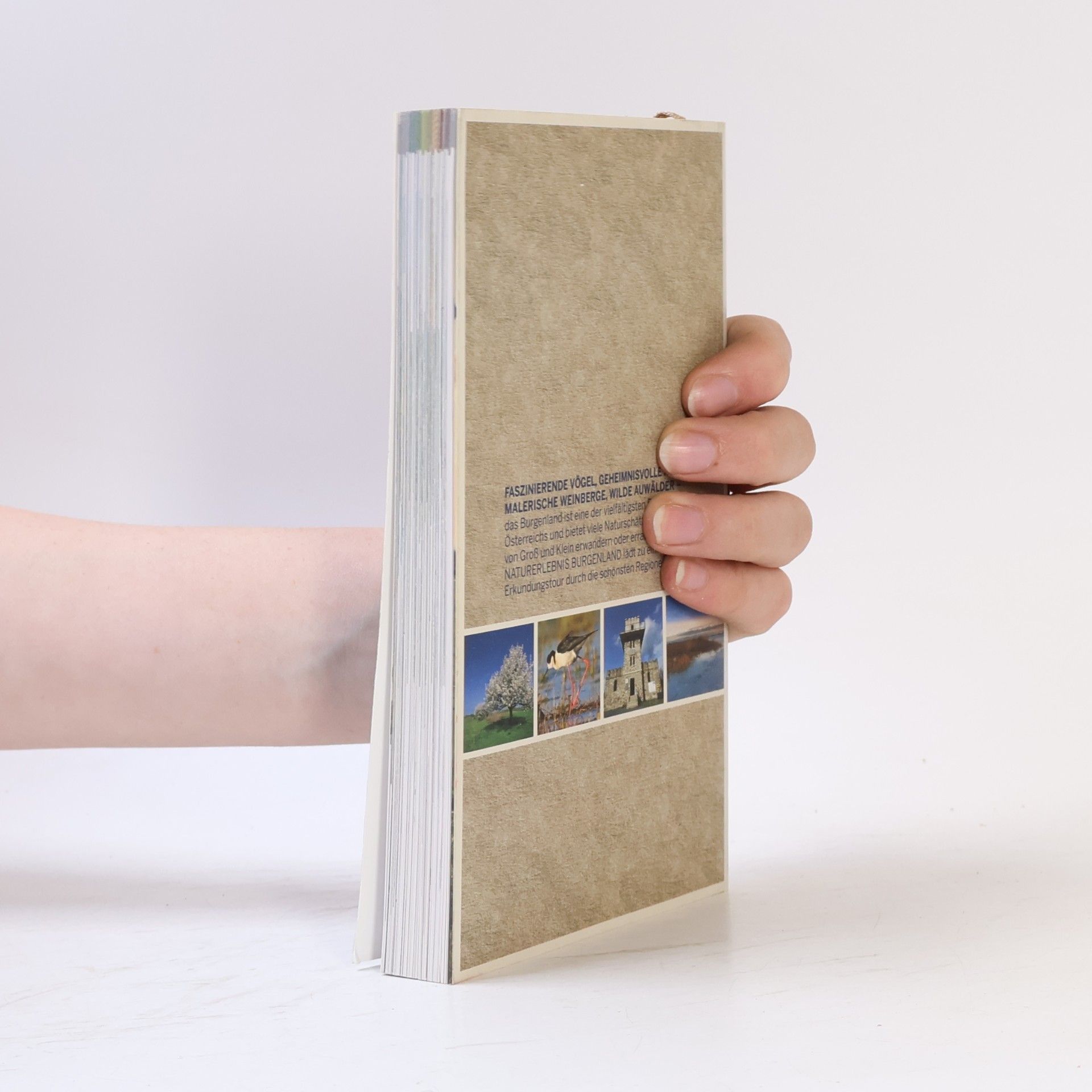 Autorenkollektiv Naturerlebnis Burgenland