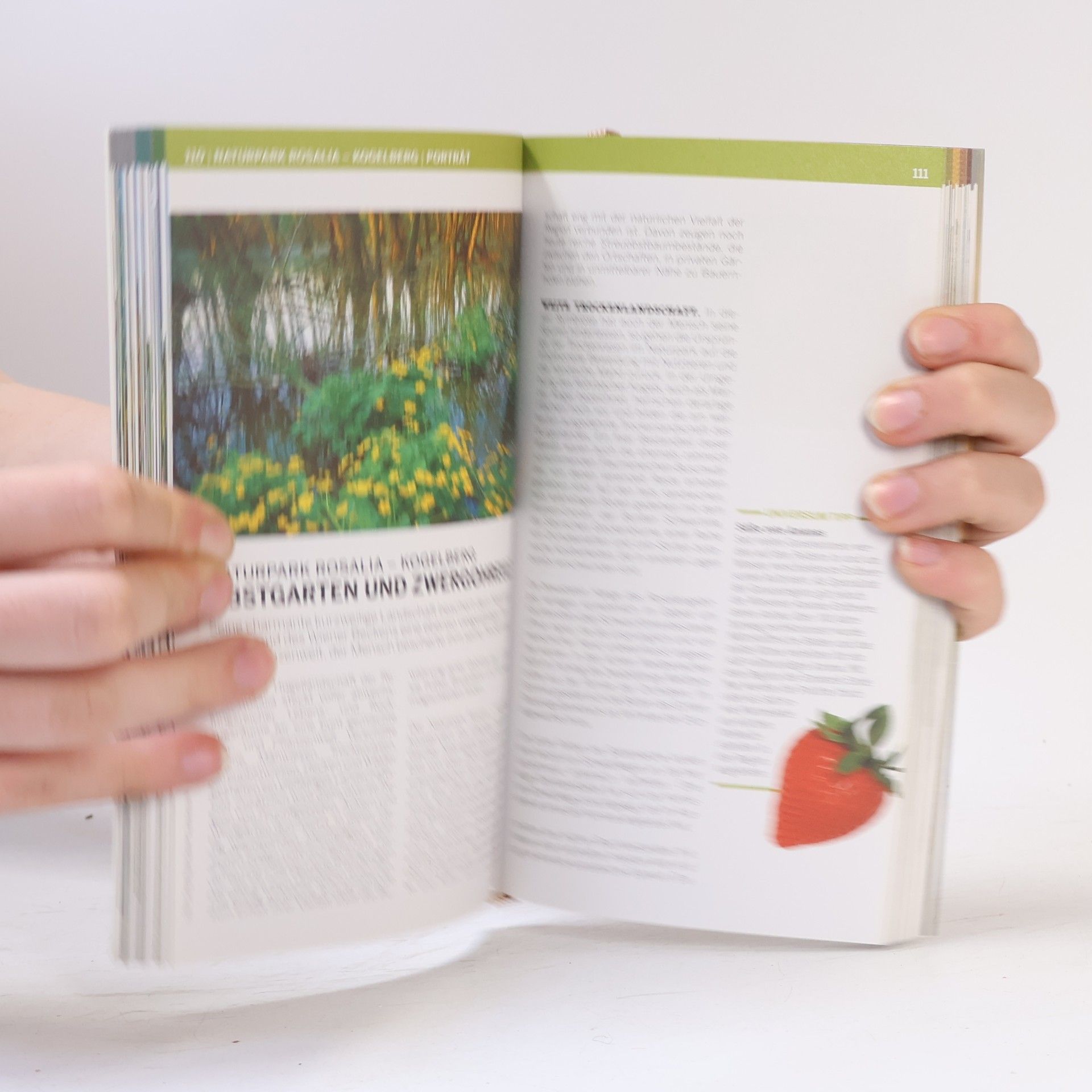 Autorenkollektiv Naturerlebnis Burgenland