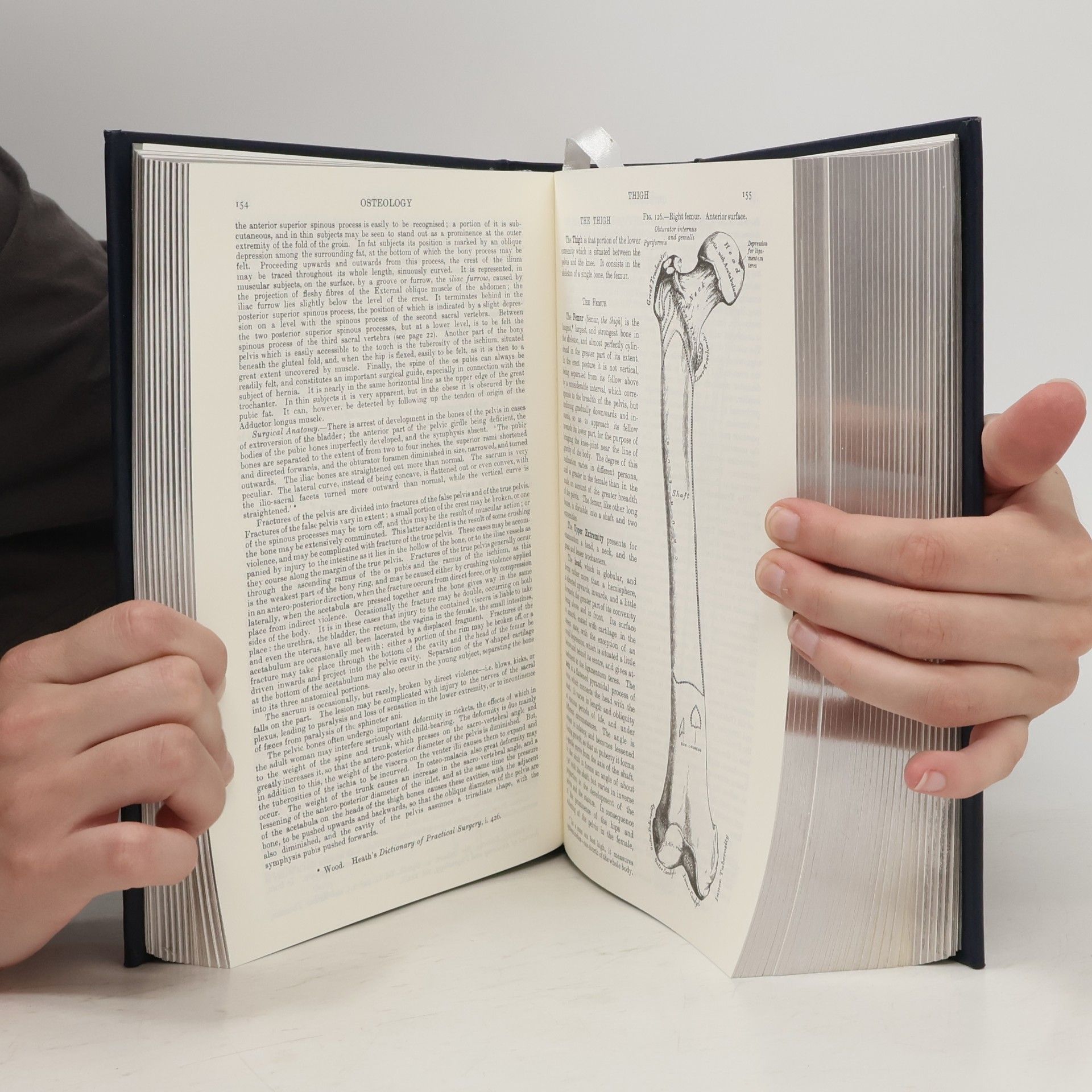 Henry Gray Gray's Anatomy