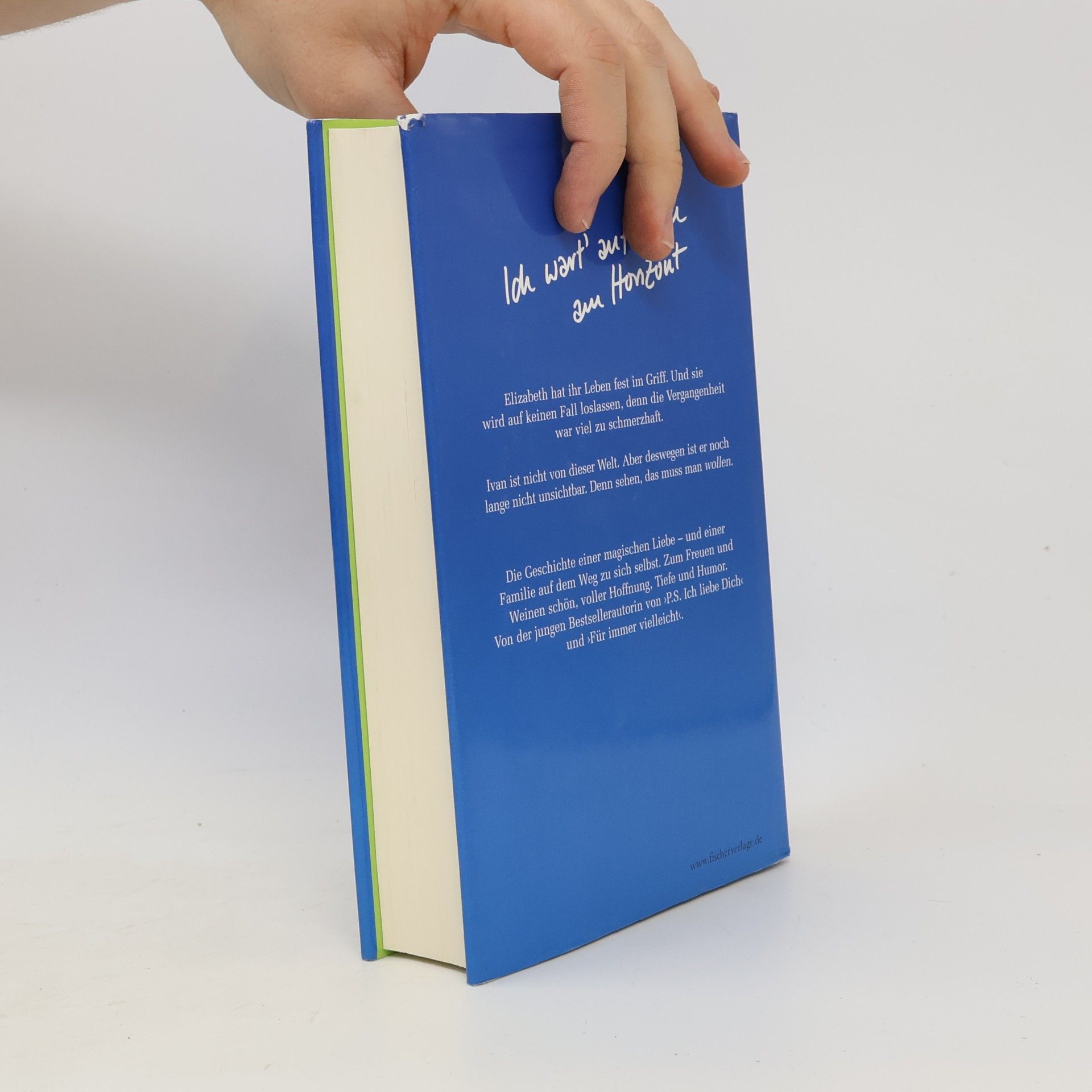 Cecelia Ahern Zwischen Himmel und Liebe