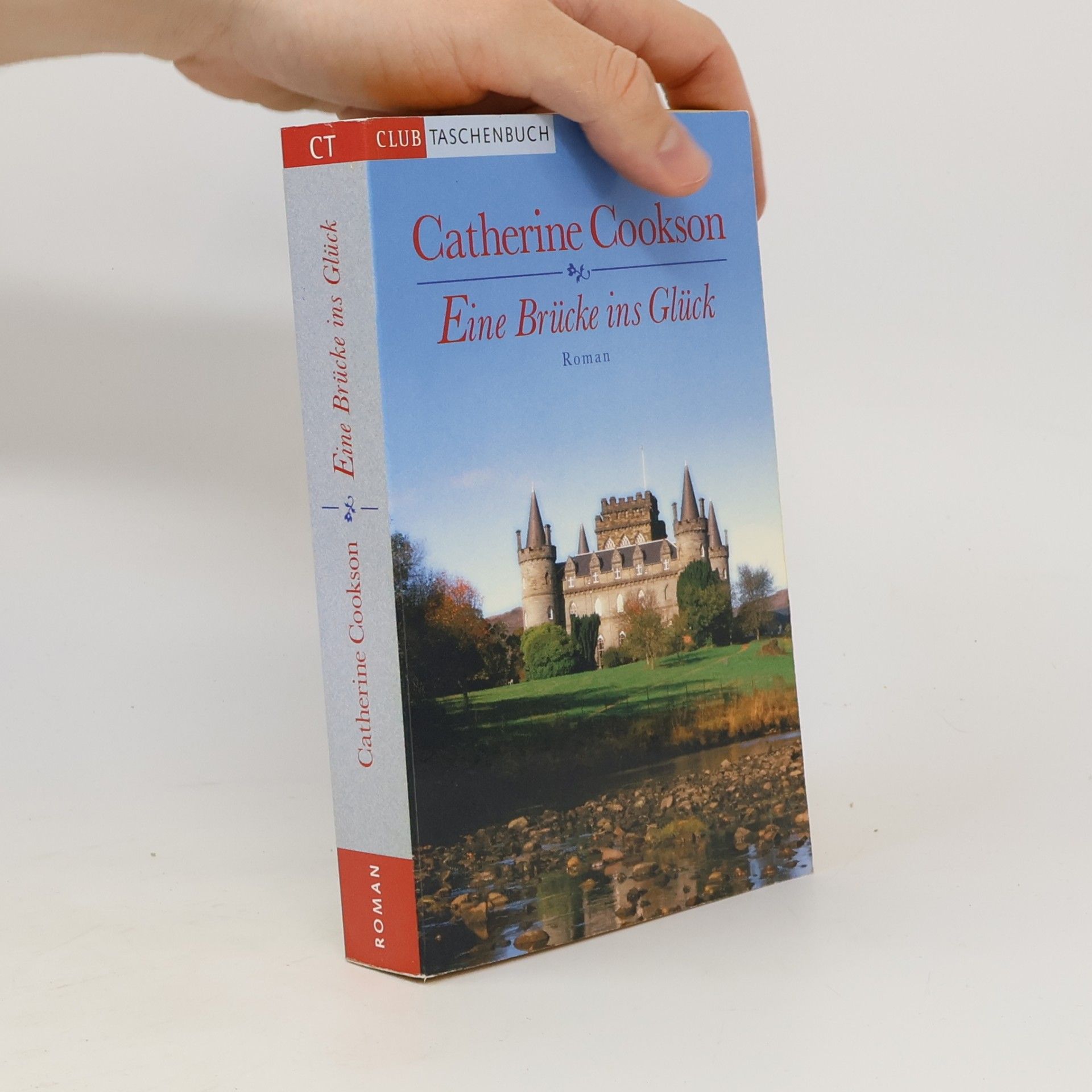 Cathrine Cookson Eine Brücke ins Glück