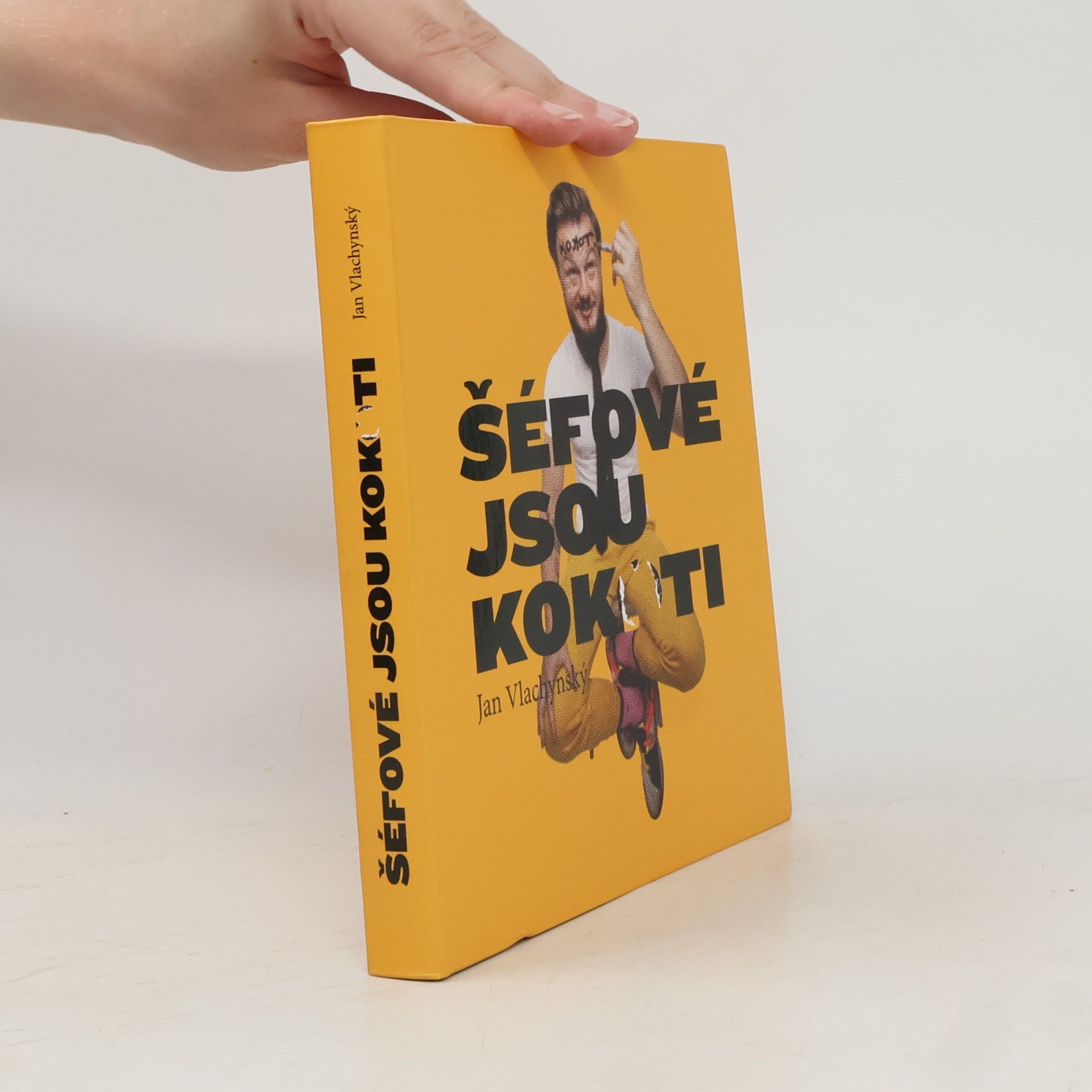 Jan Vlachynský Šéfové jsou kokoti