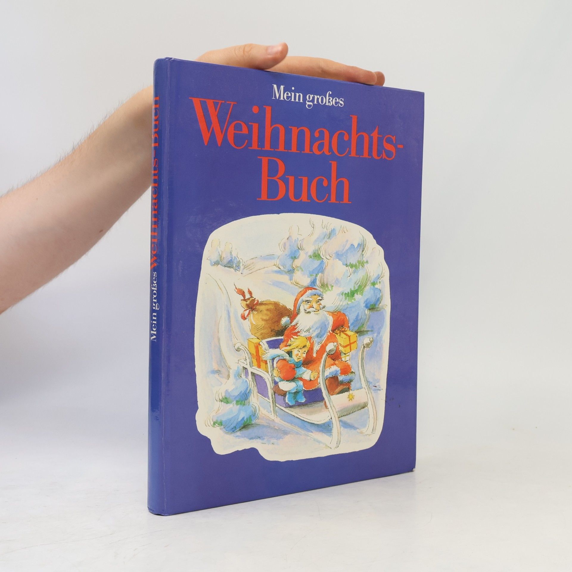 Mein grosses Weihnachts-Buch