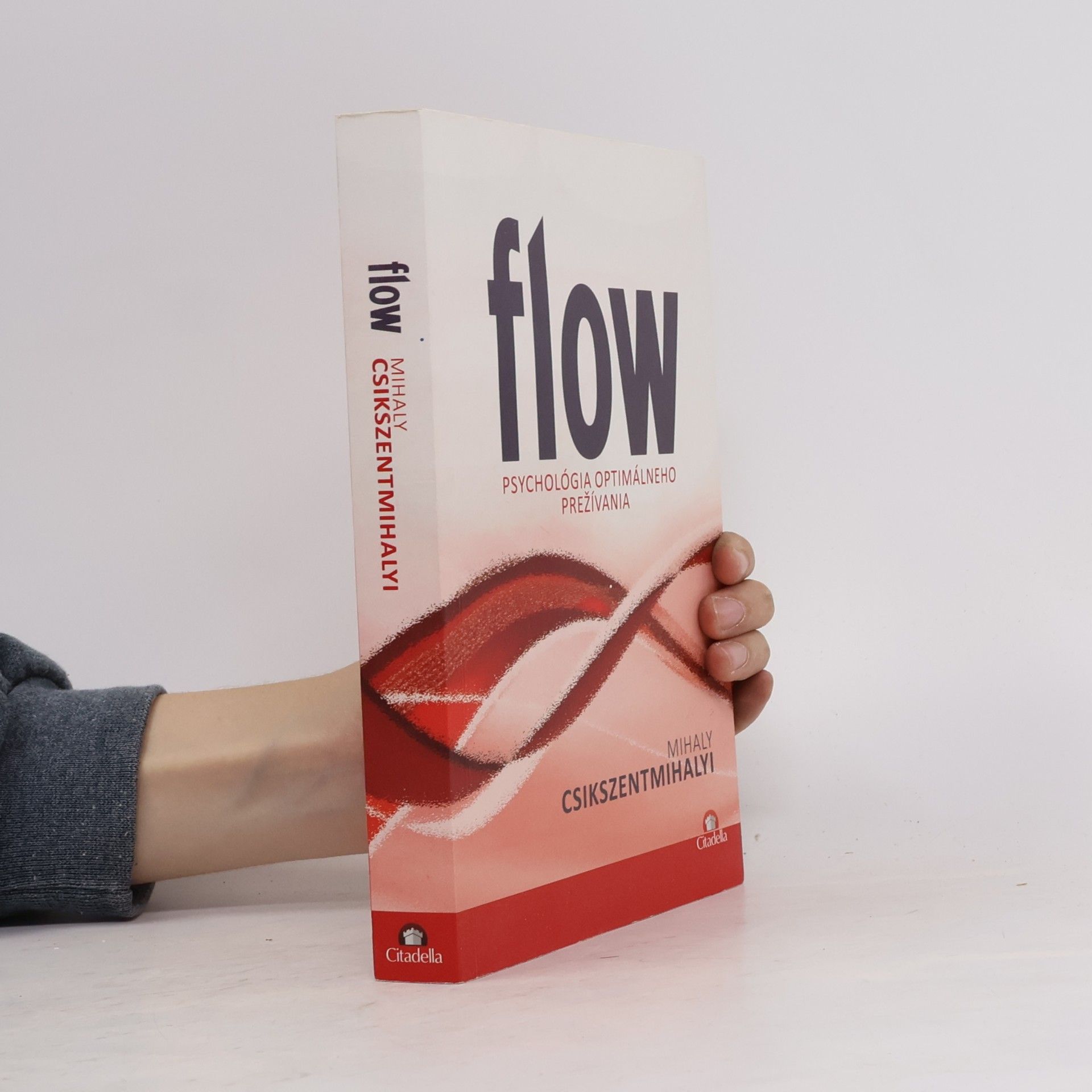 Mihaly Csikszentmihalyi Flow - Psychológia optimálneho prežívania