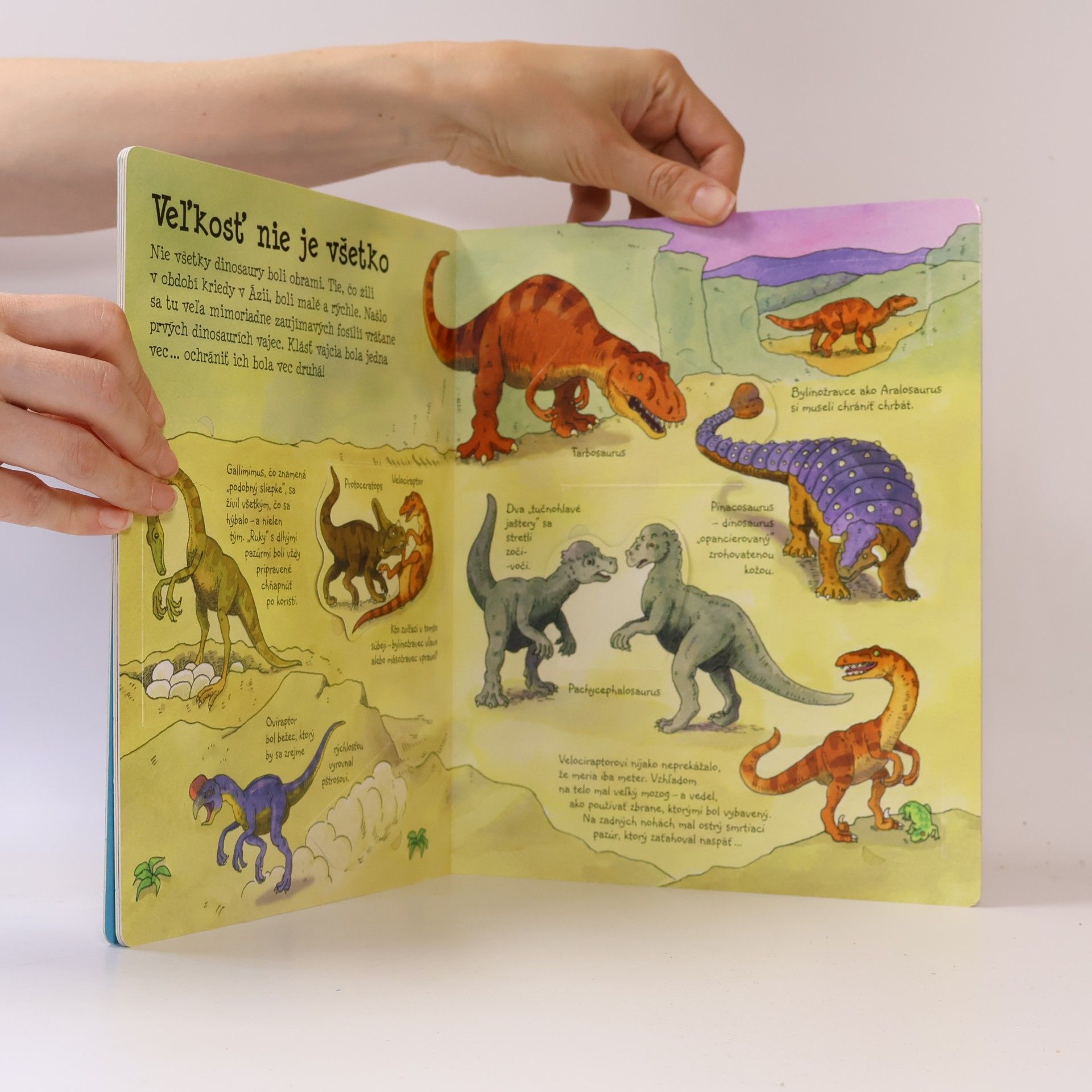 Autorenkollektiv Pozri sa pod okienko na dinosaura