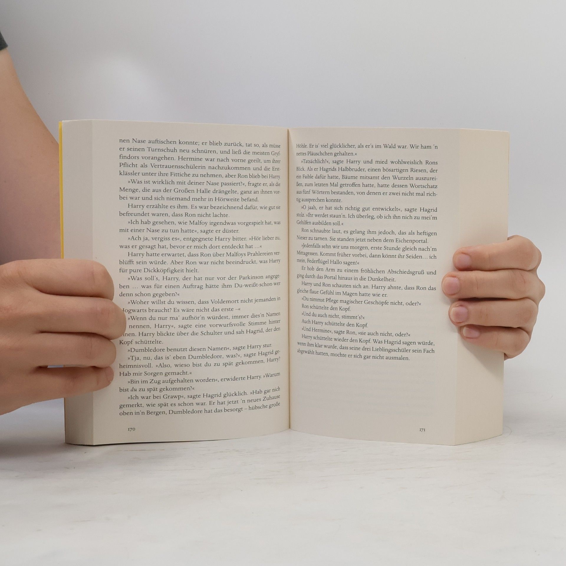 Fritz-Klaus Kochan Harry Potter und der HalbblutpRinz
