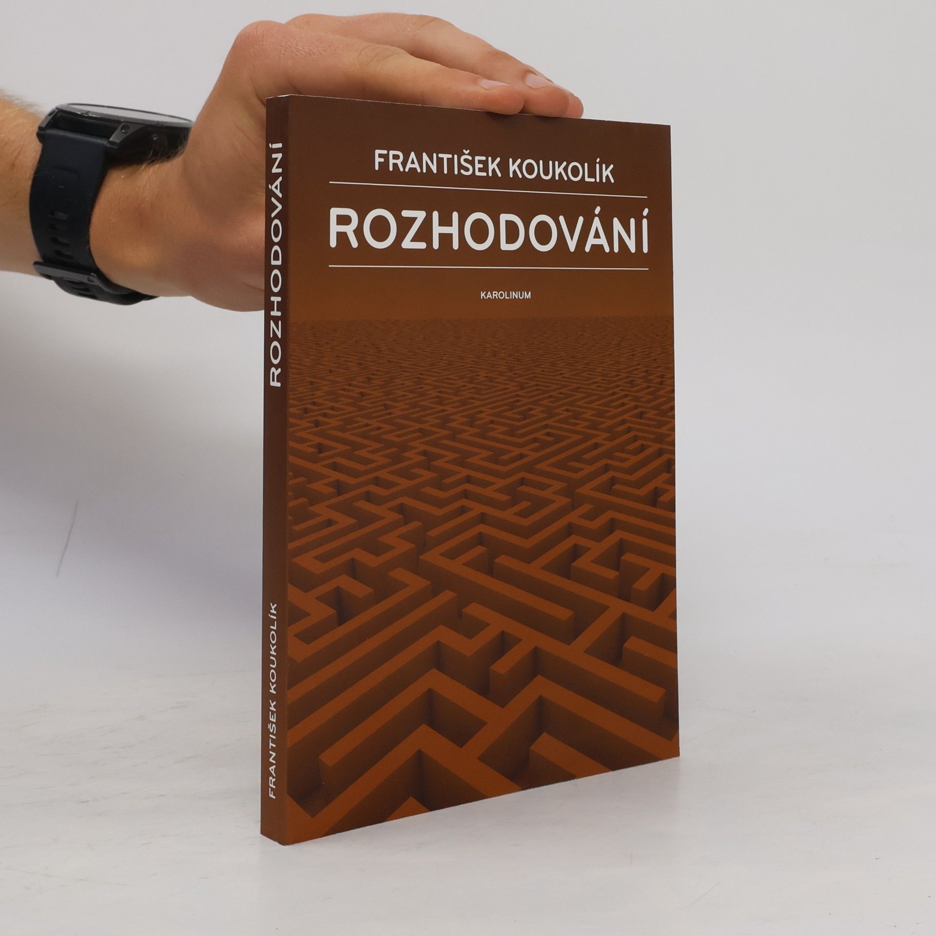Rozhodování