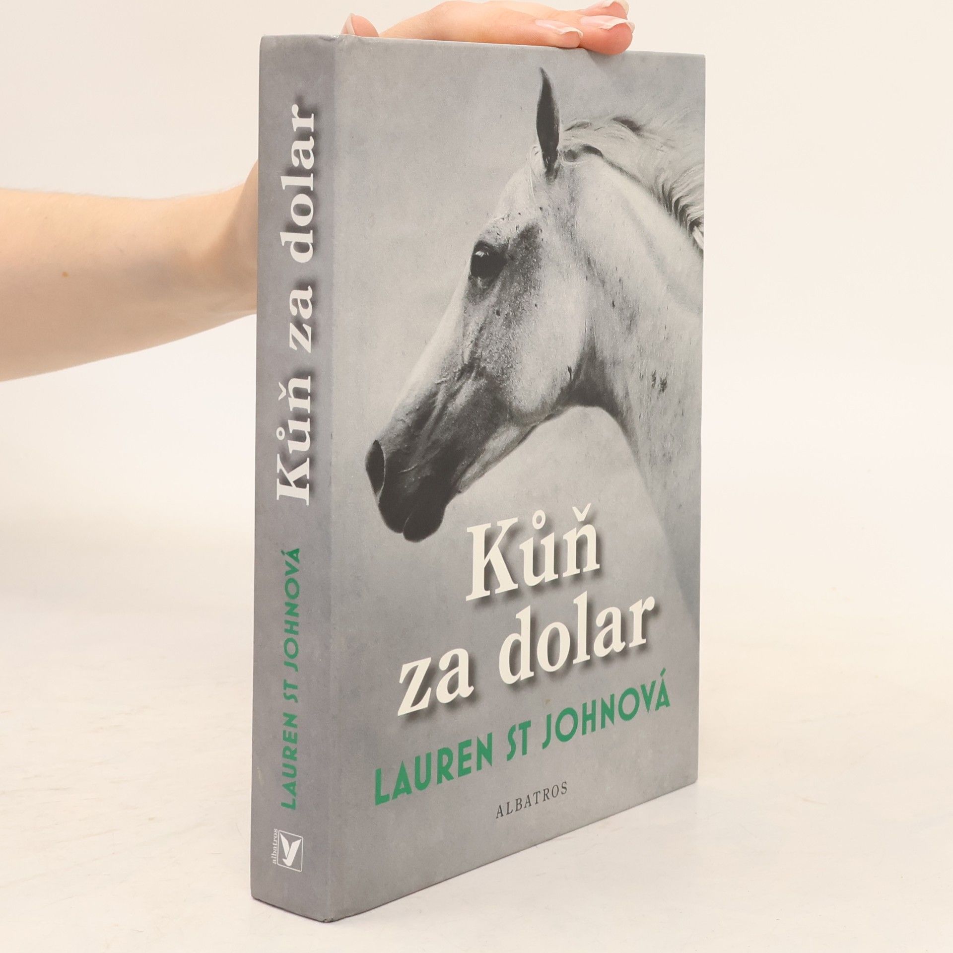 Lauren St. John Kůň za dolar