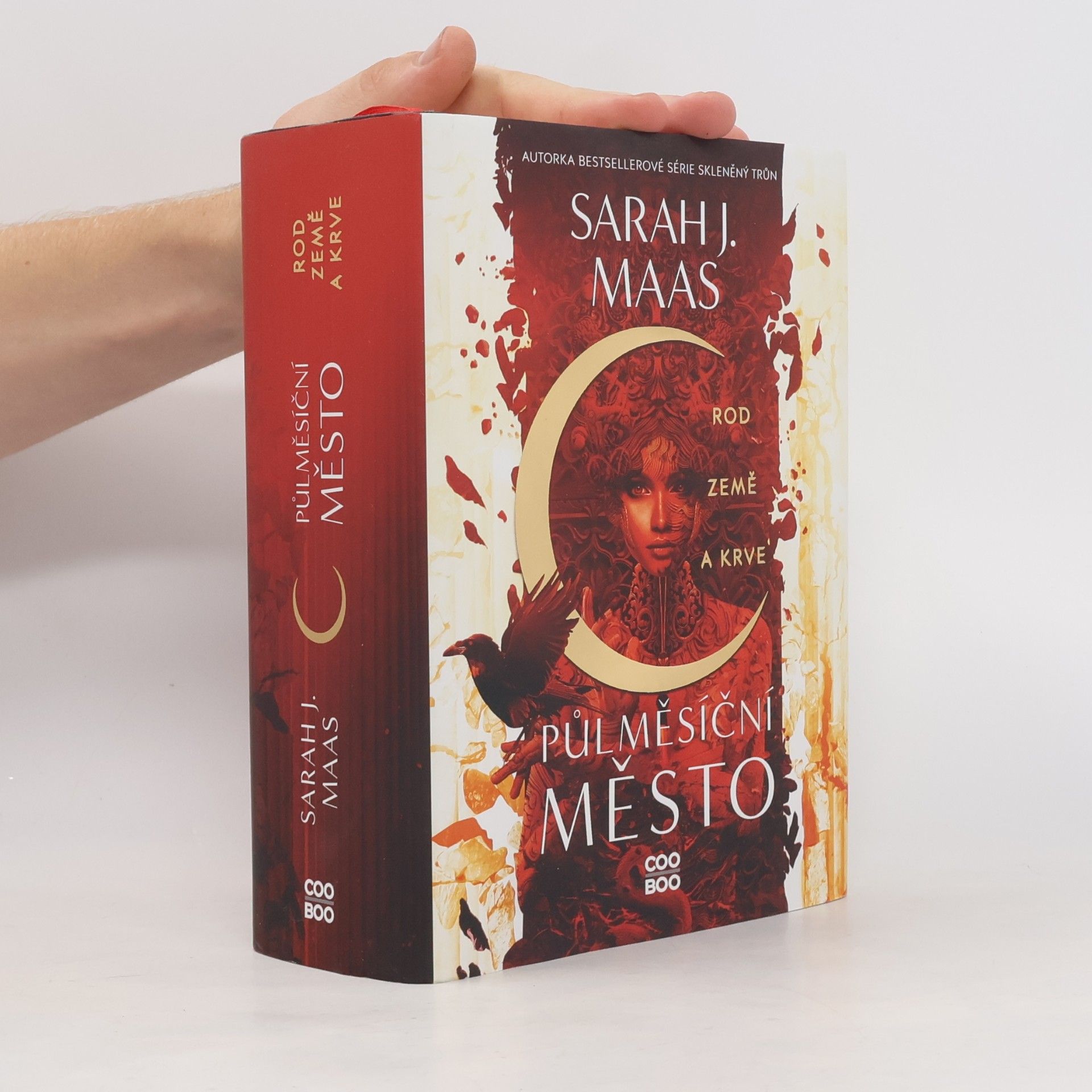 Sarah J. Maas Rod země a krve