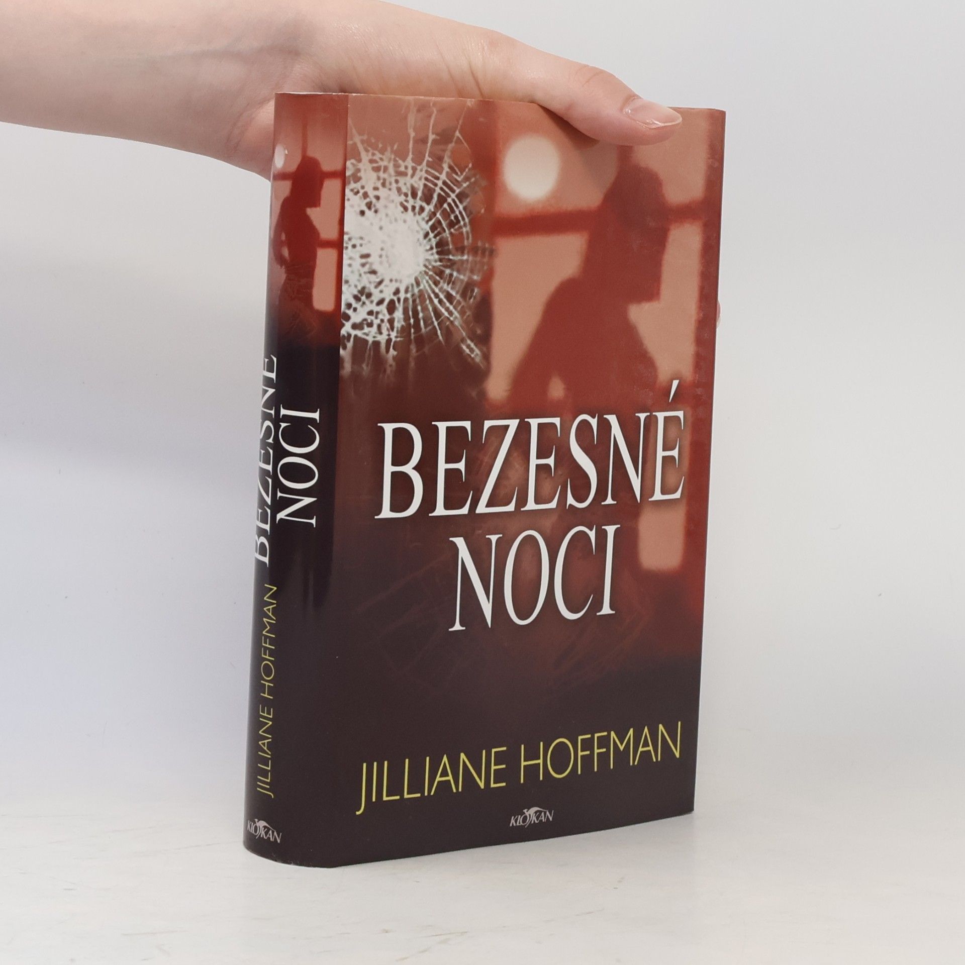 Jilliane Hoffman Bezesné noci