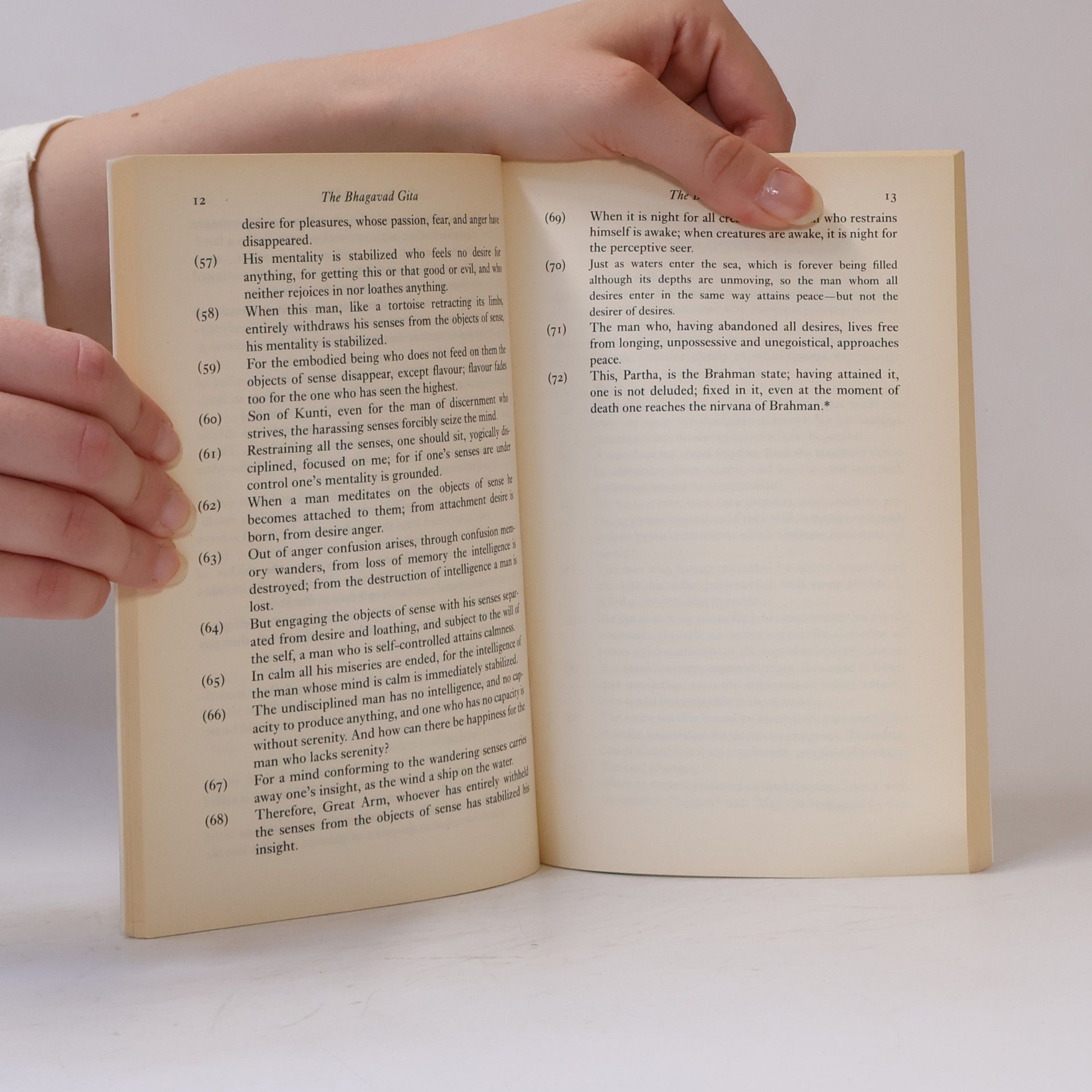 W. J. Johnson The Baghavad gita