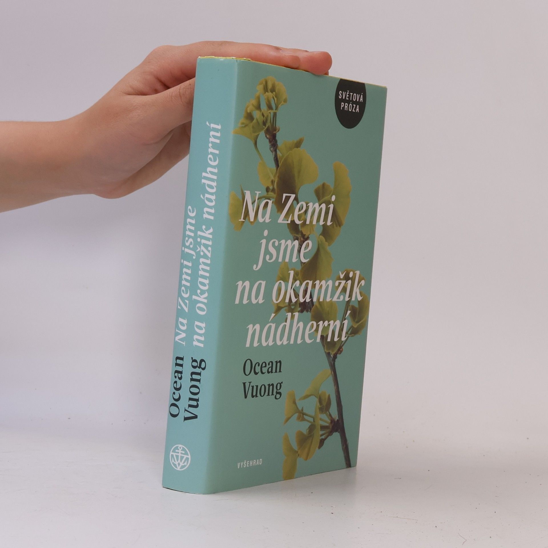 Ocean Vuong Na Zemi jsme na okamžik nádherní