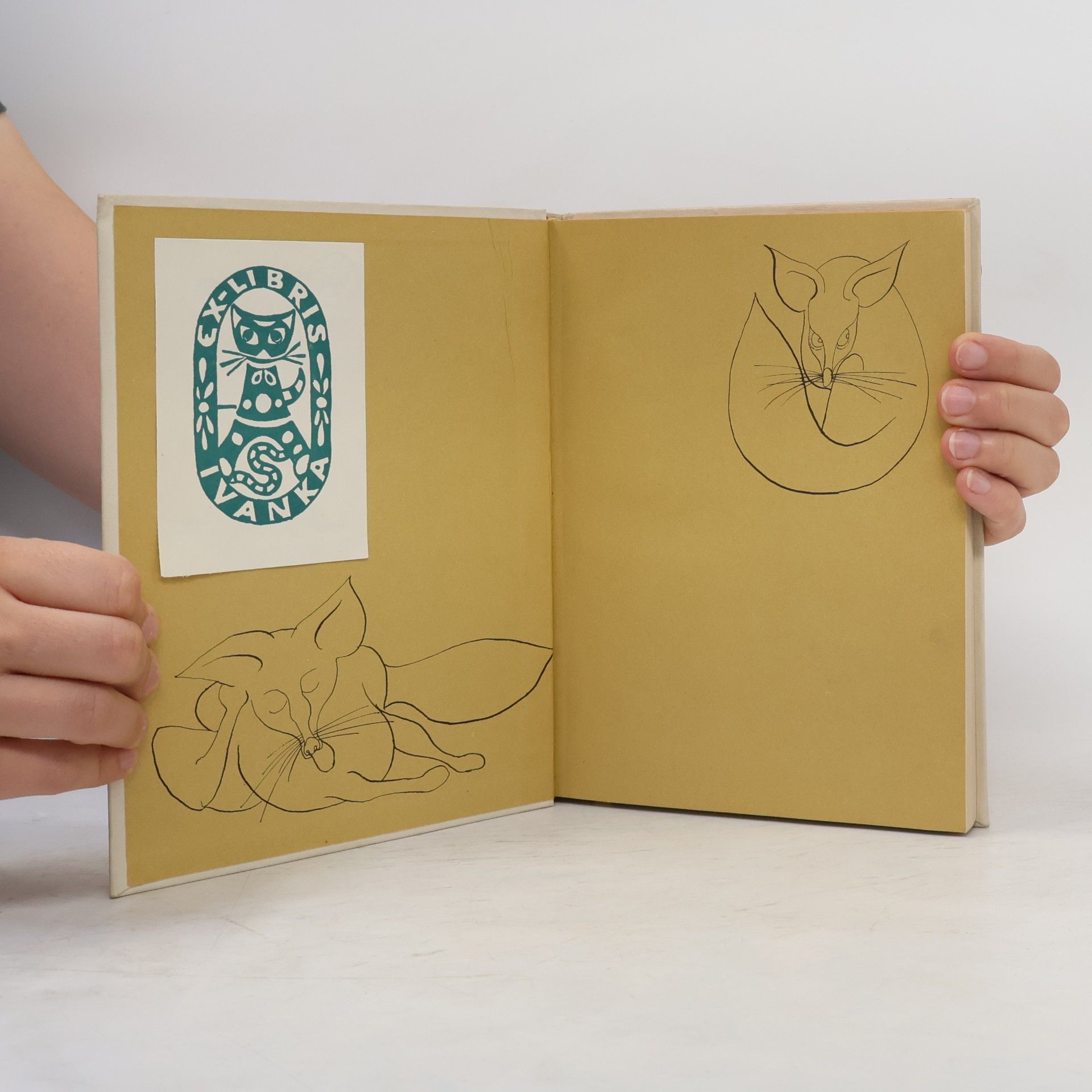 William Mayne Záhada žlutého jednorožce