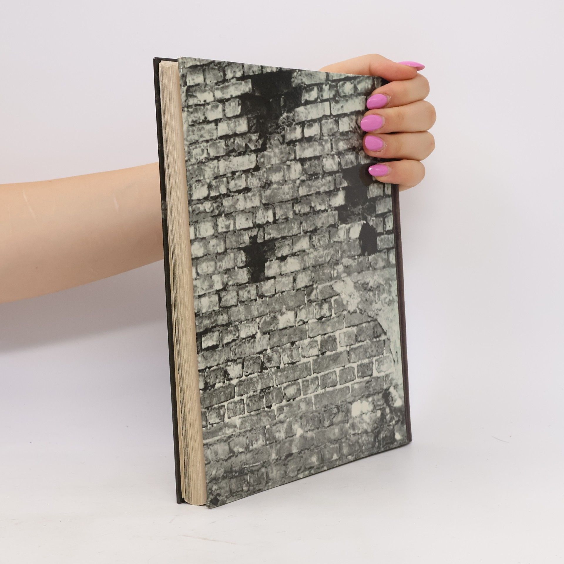Hans-Joachim Hellwig Ein Tagebuch für Anne Frank